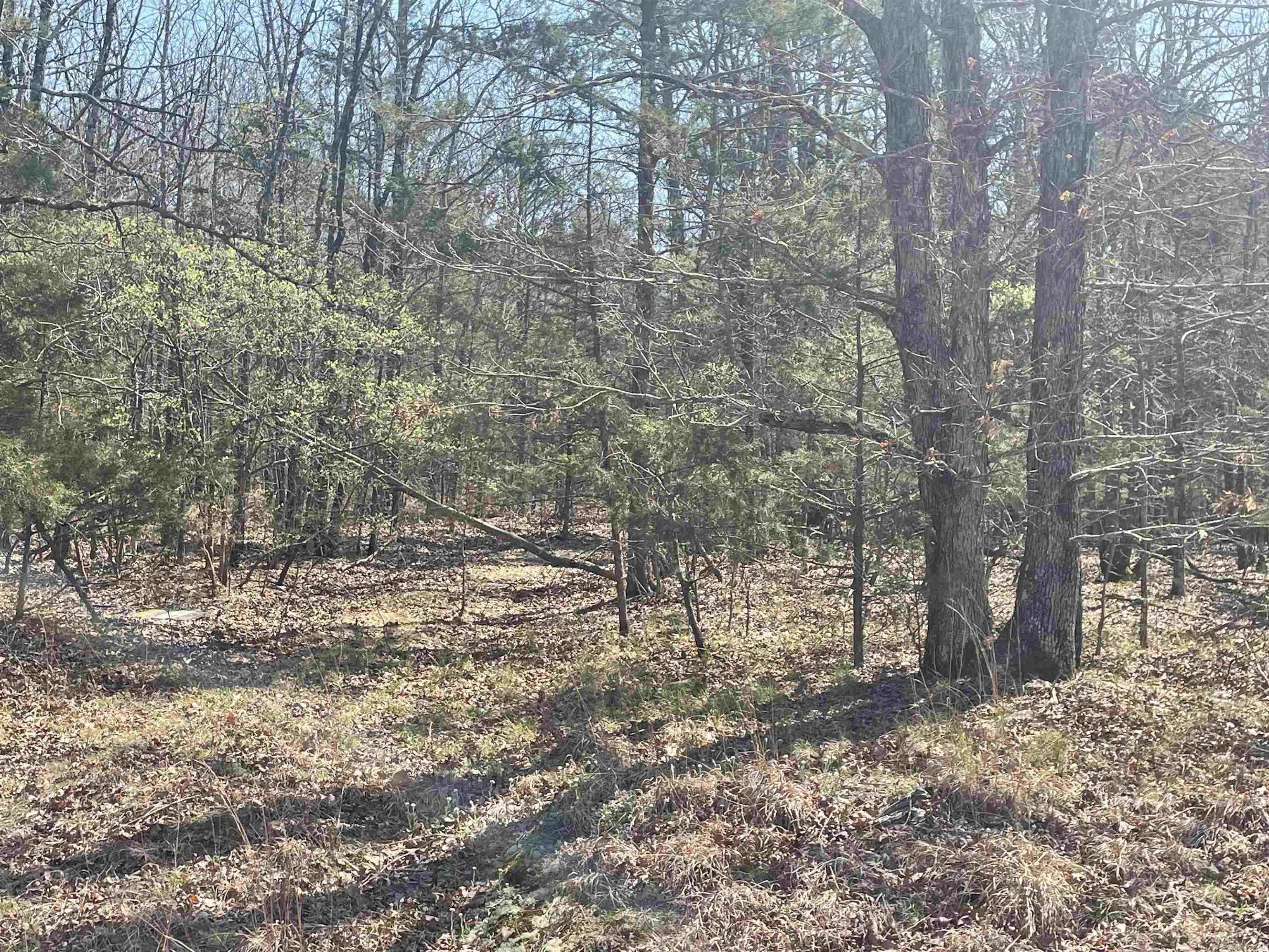 0  Cooper Lane  Quitman, AR