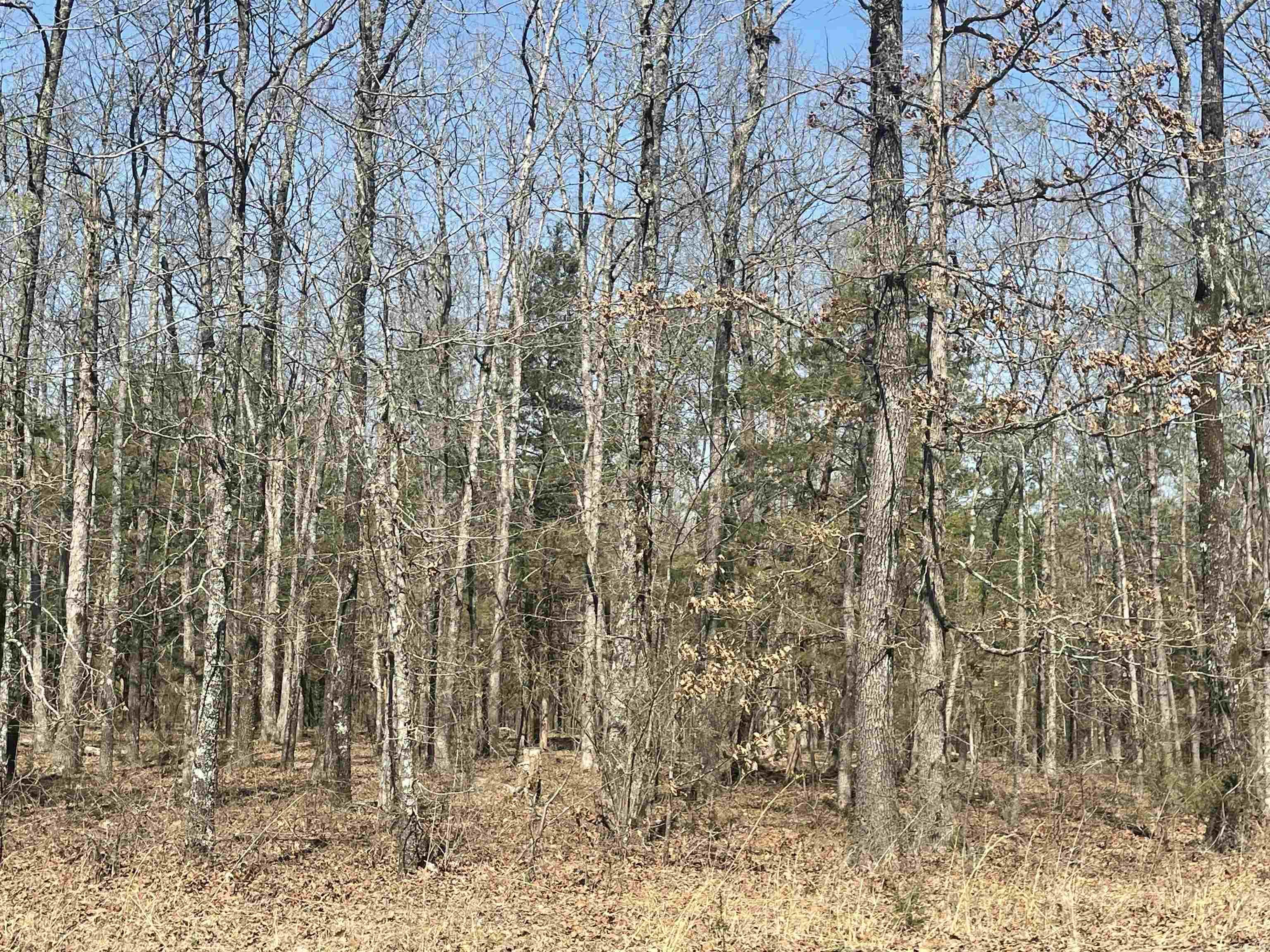 0  Cooper Lane  Quitman, AR
