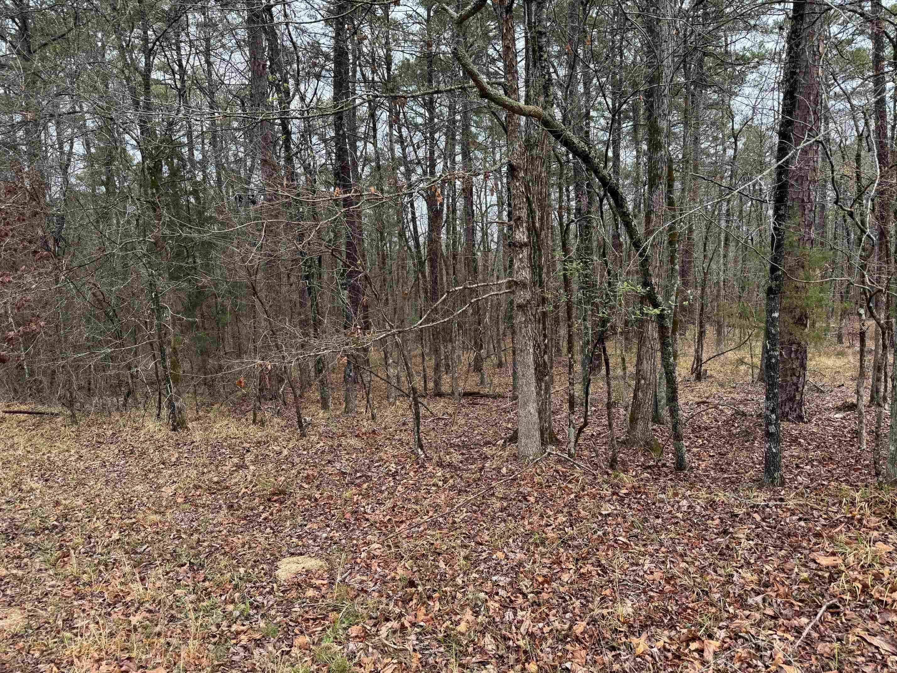 23  BRILLIANTE LANE  Hot Springs Village, AR