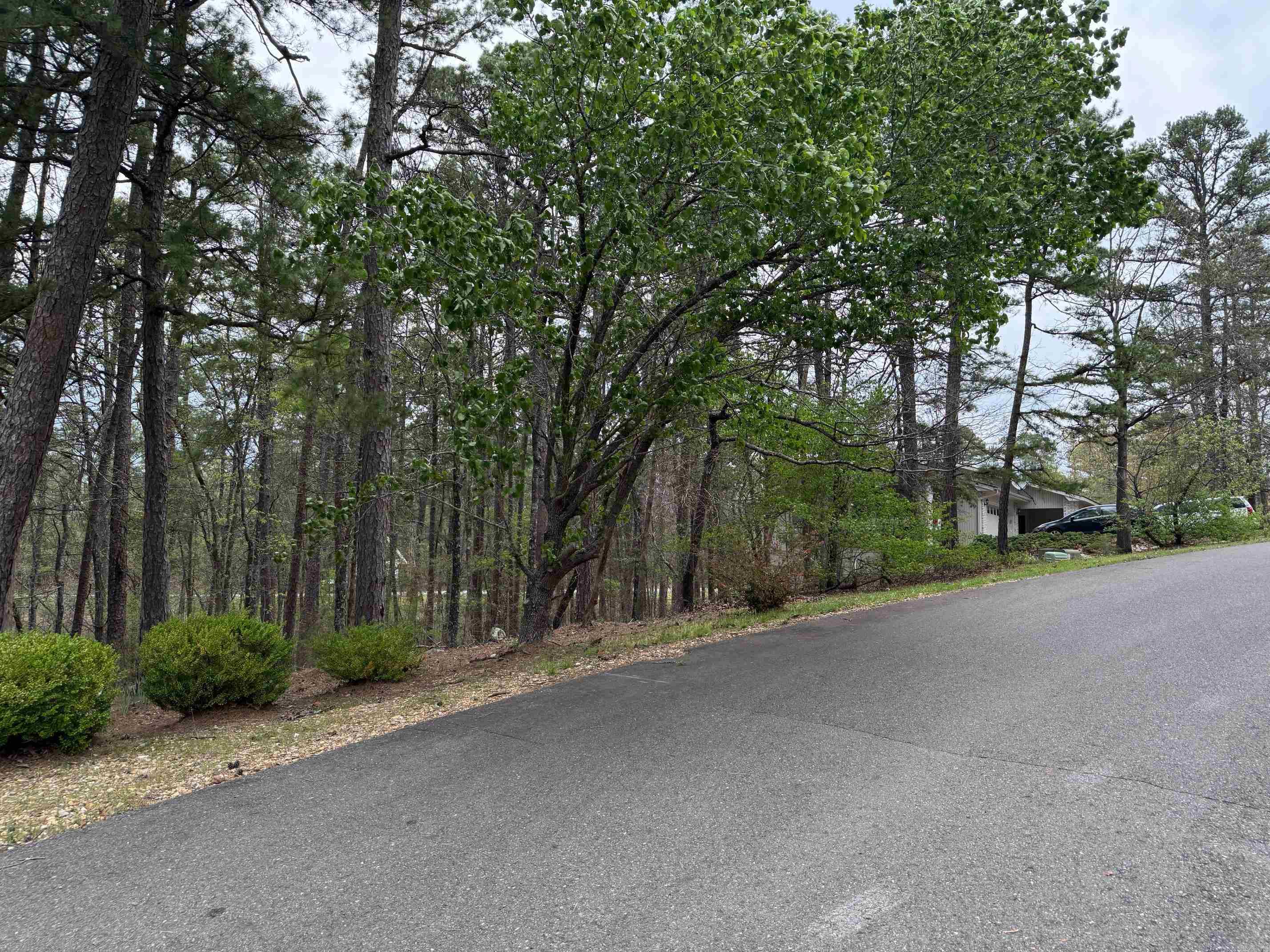 9  LOPEZ CIRCLE  Hot Springs Village, AR