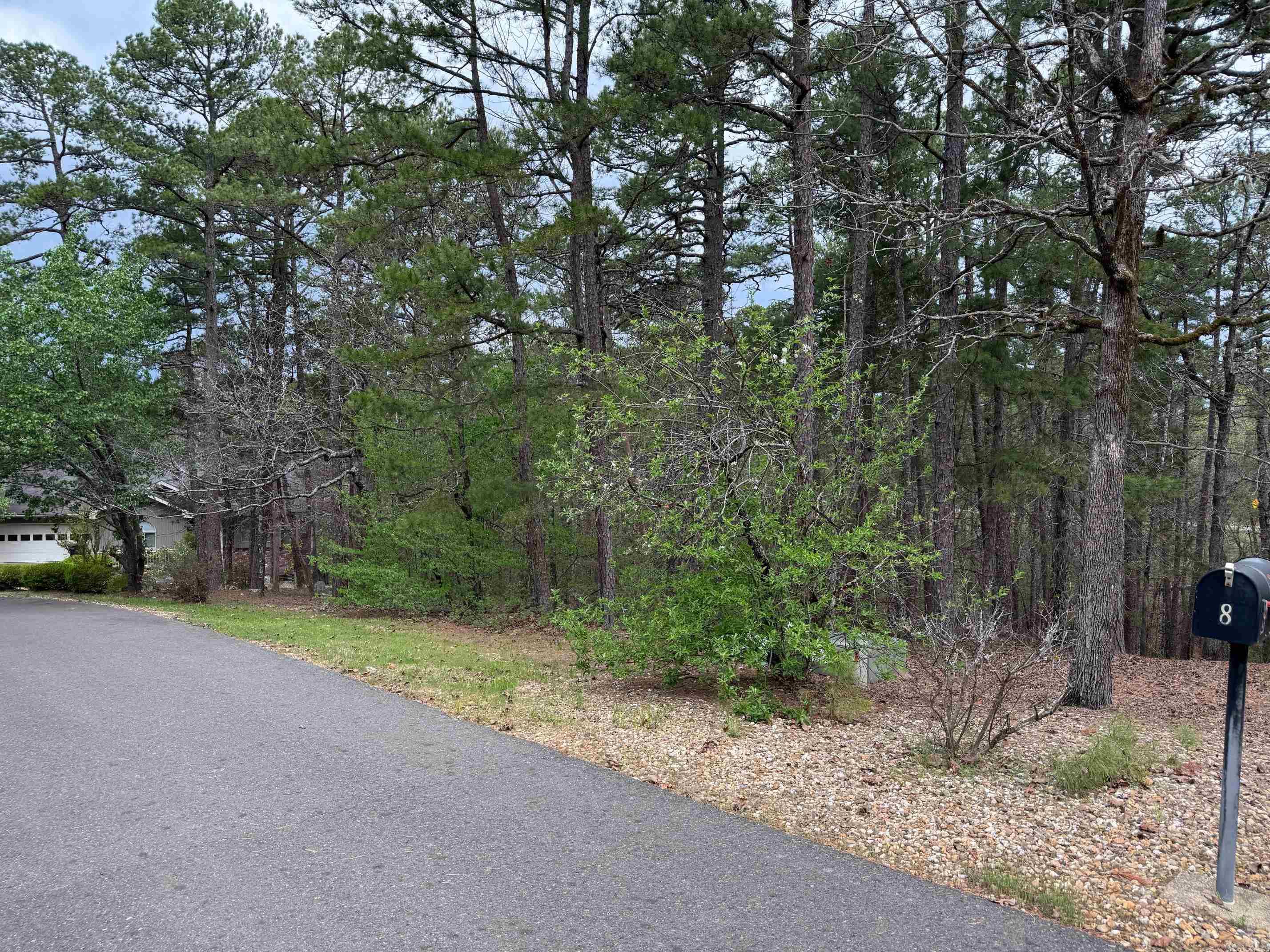 9  LOPEZ CIRCLE  Hot Springs Village, AR