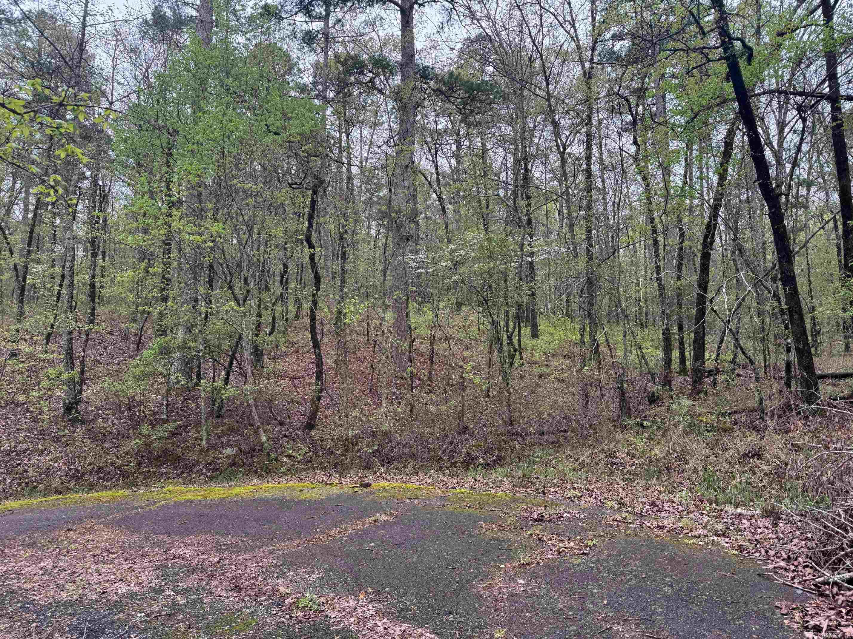 11  TAZON LANE  Hot Springs Village, AR