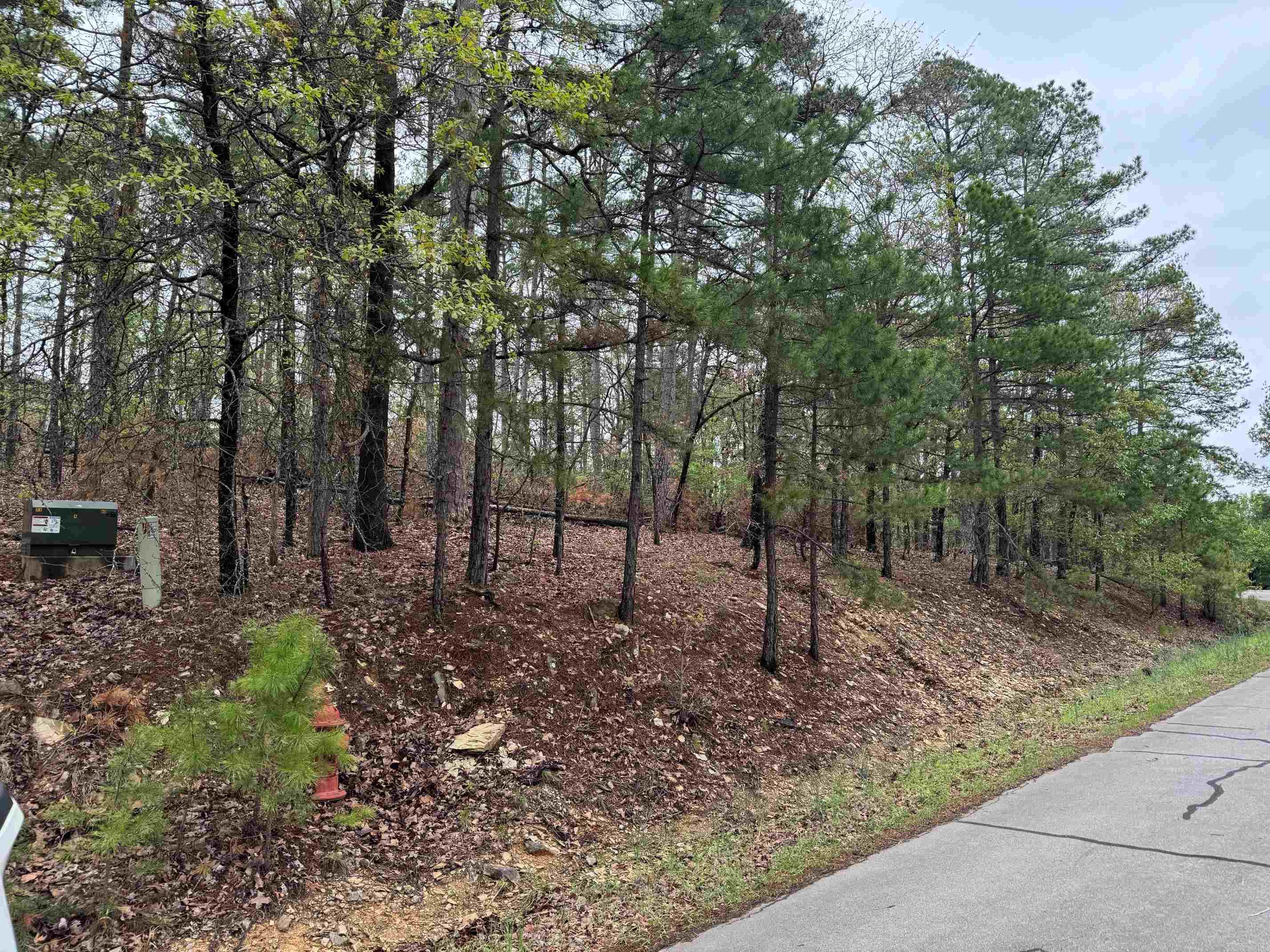 37  TAMAYO WAY  Hot Springs Village, AR