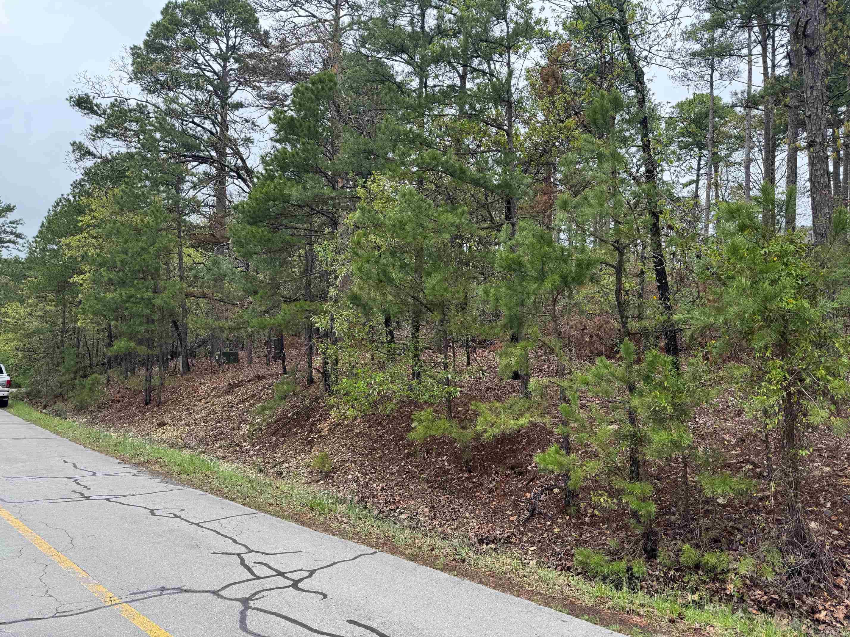 37  TAMAYO WAY  Hot Springs Village, AR