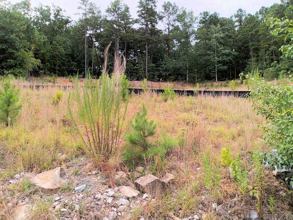 35  Quail Creek  Hot Springs, AR