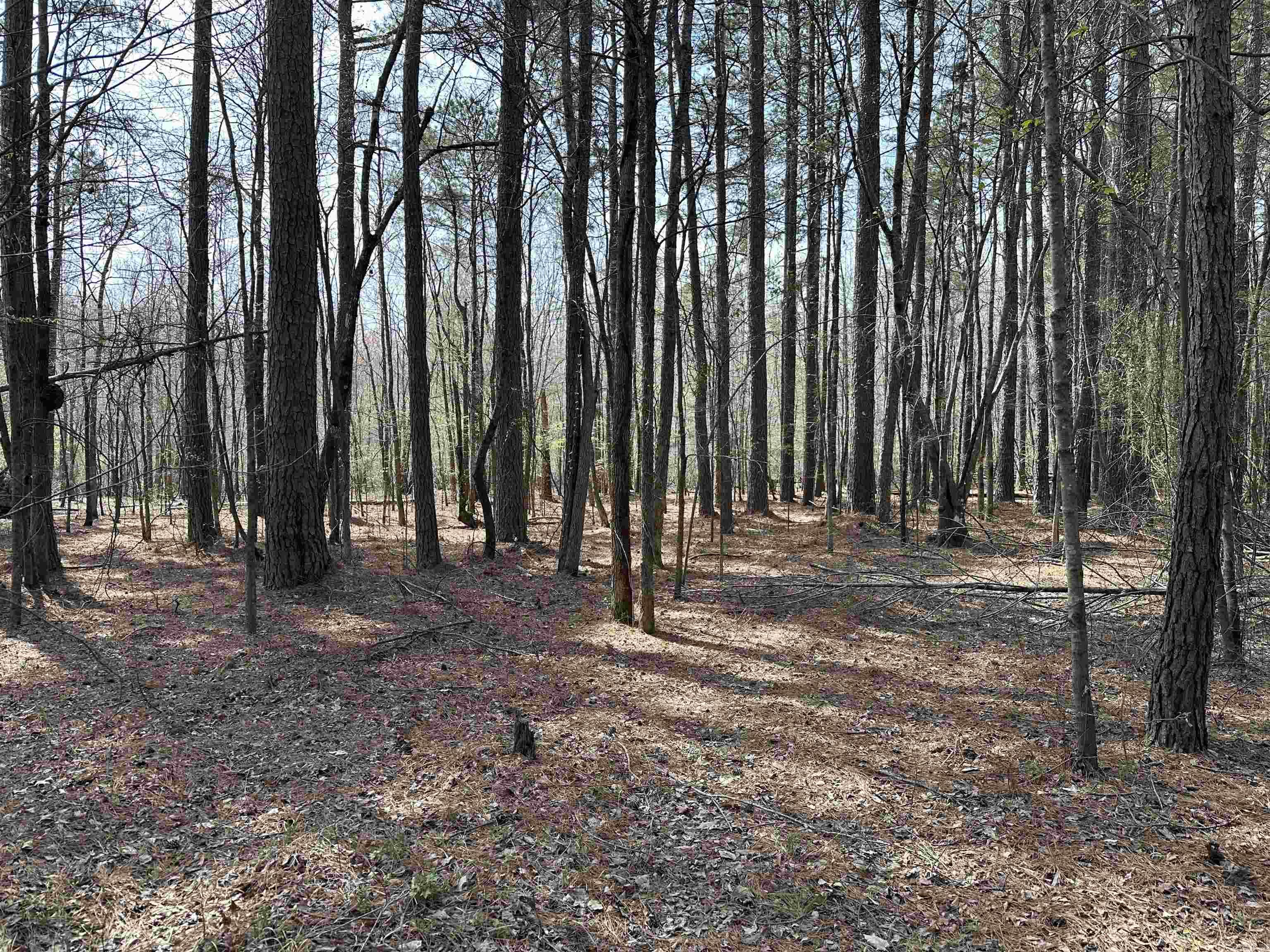 0  Lakeshore Cove  Hensley, AR