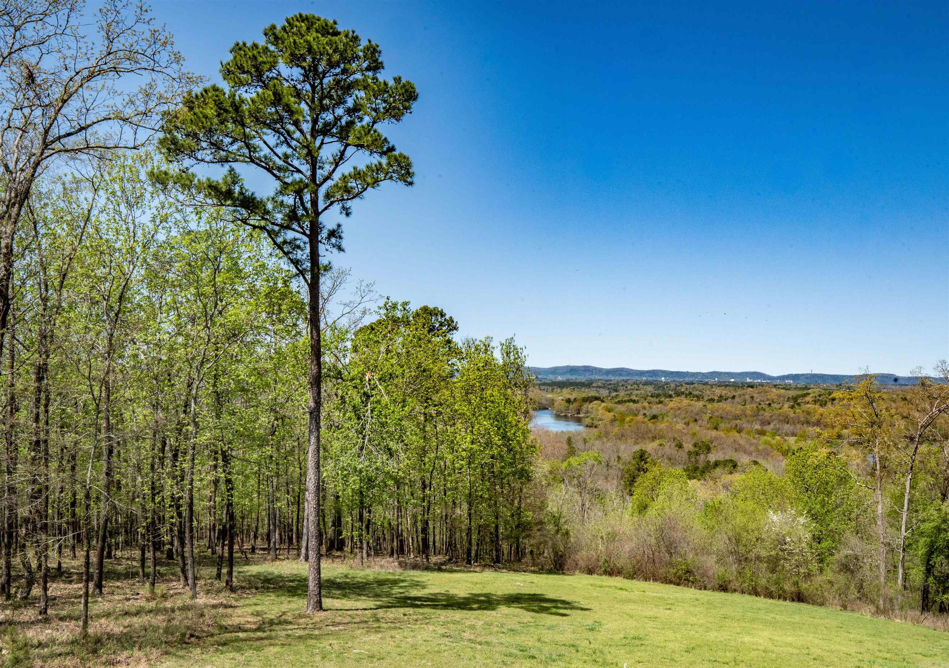 438  Ohio Drive  Hot Springs, AR