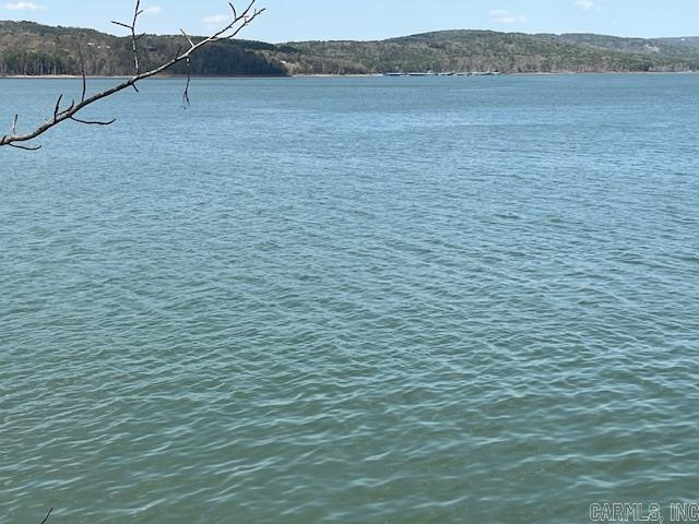 1092 Clella Bee Branch, AR 72013