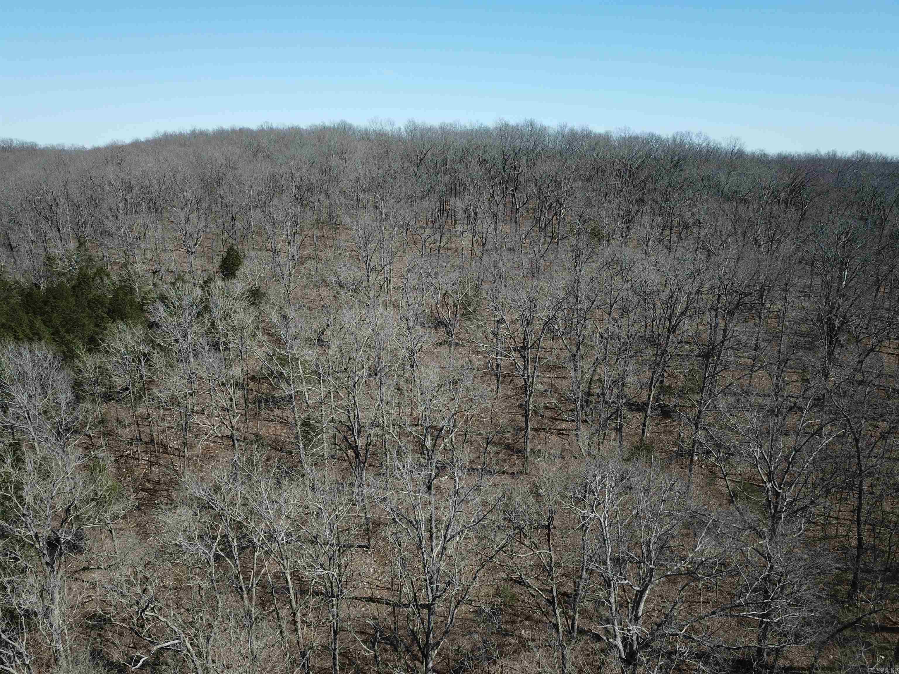 000  Bluff  Hardy, AR