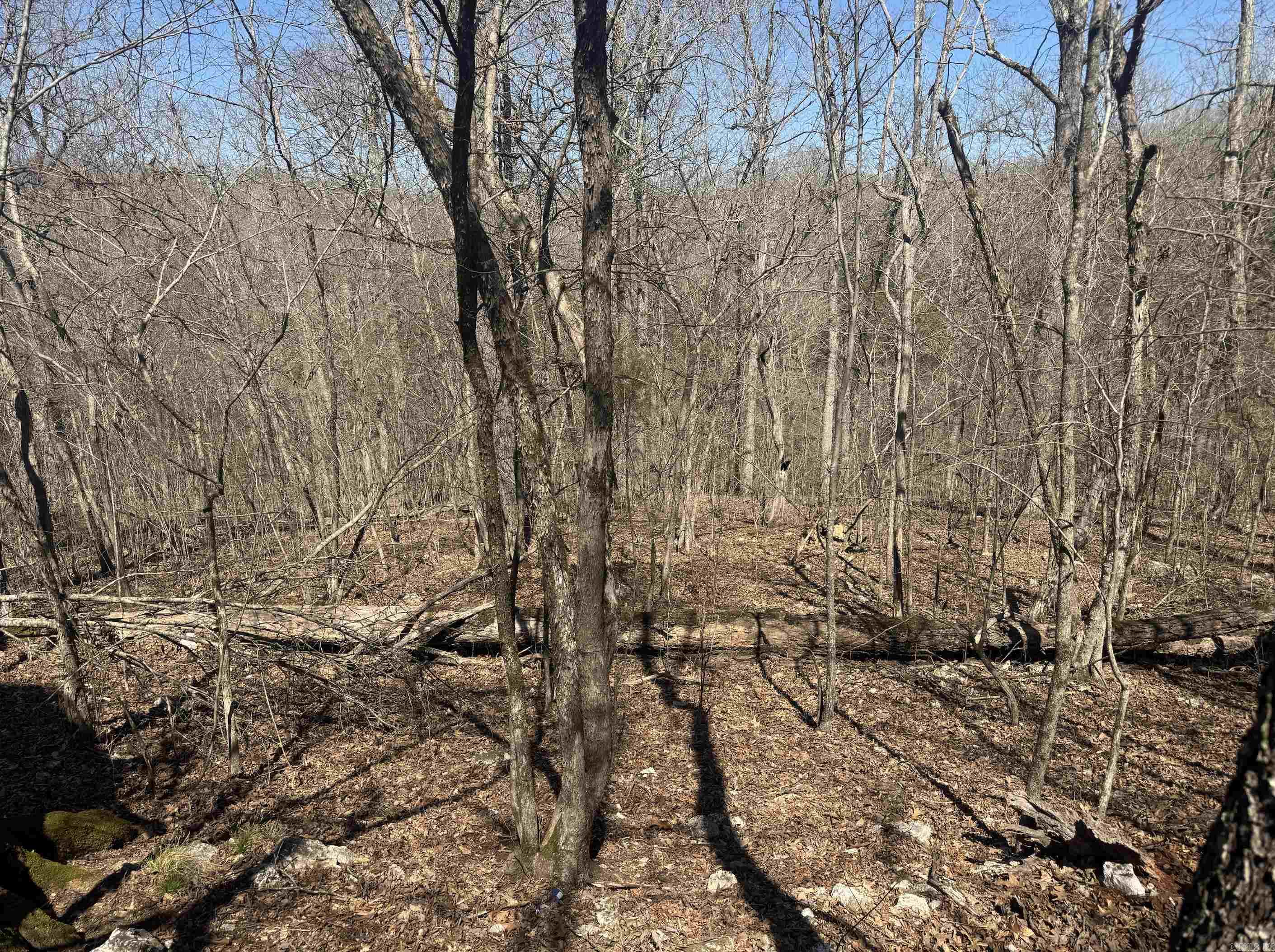 000  Bluff  Hardy, AR
