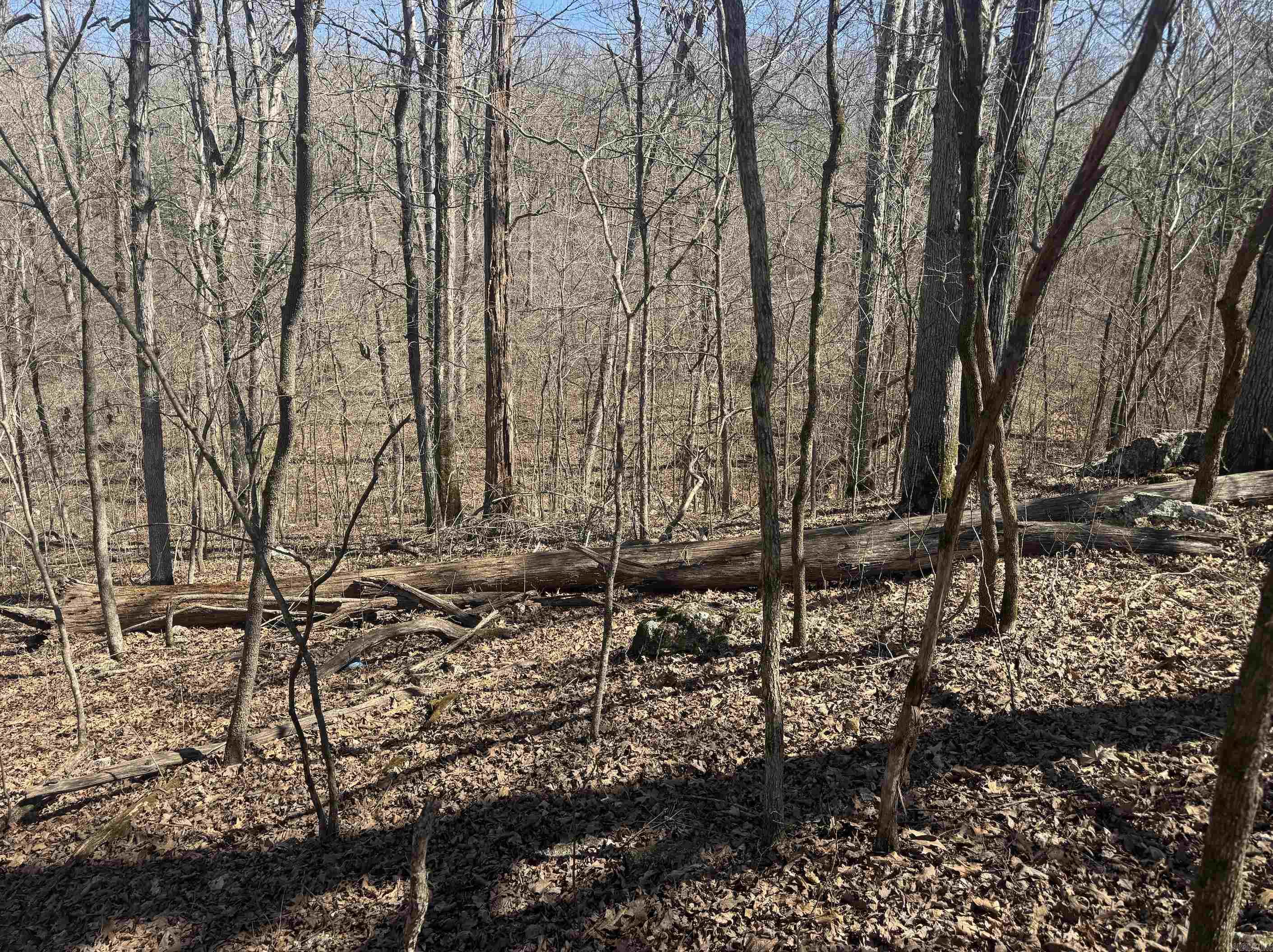 000  Bluff  Hardy, AR