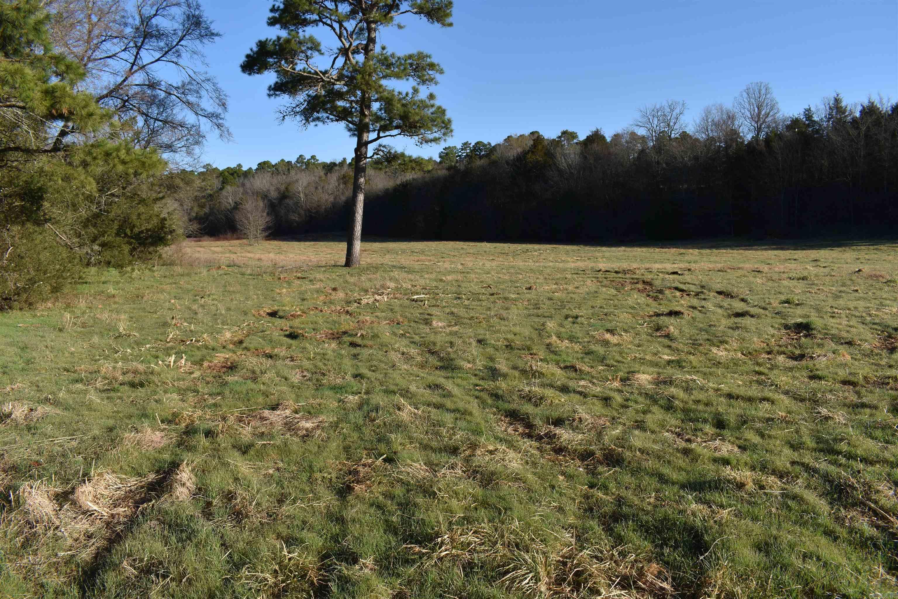 29162 E HWY 28 Harvey, AR 72841