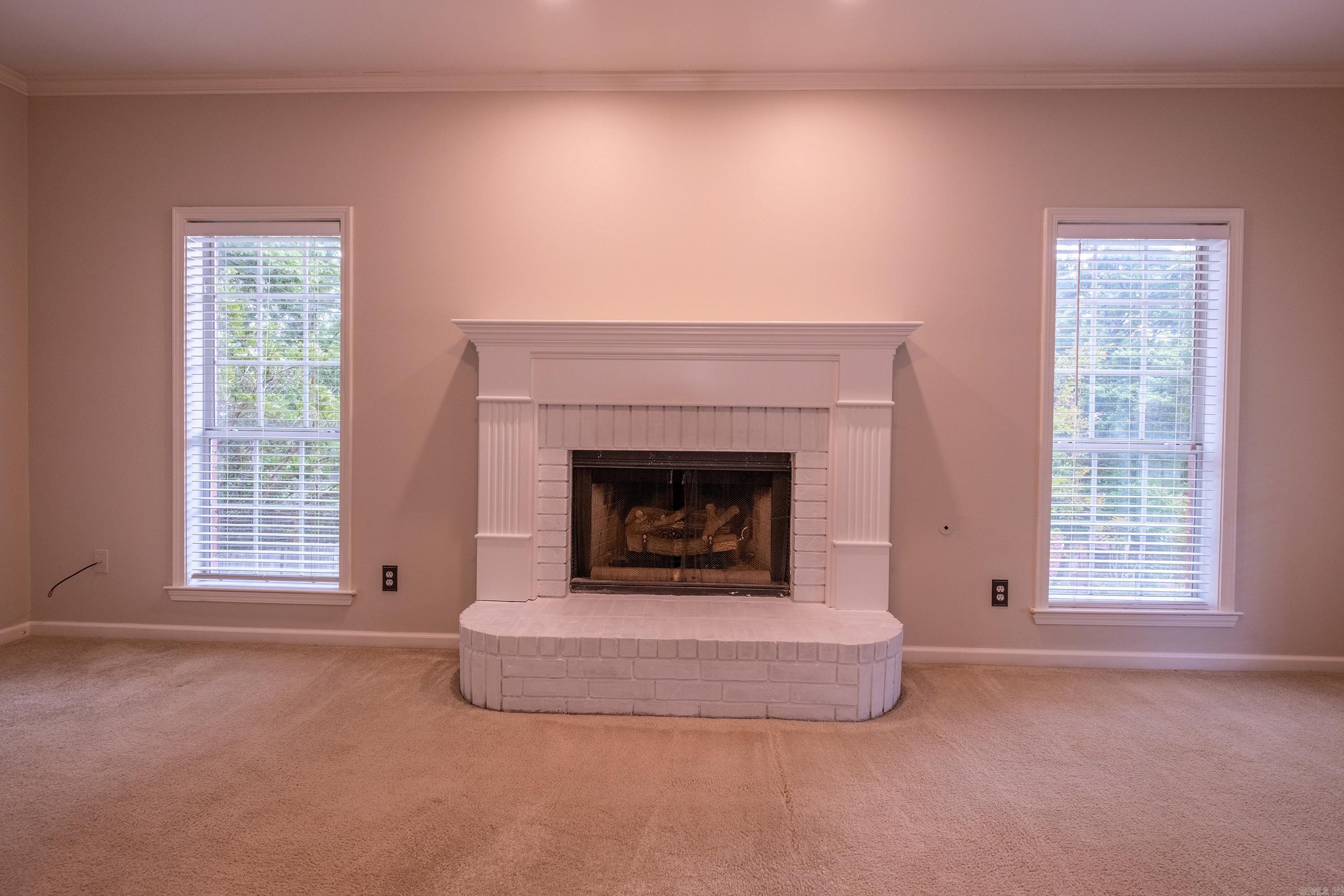 18  Honey Bear  Little Rock, AR