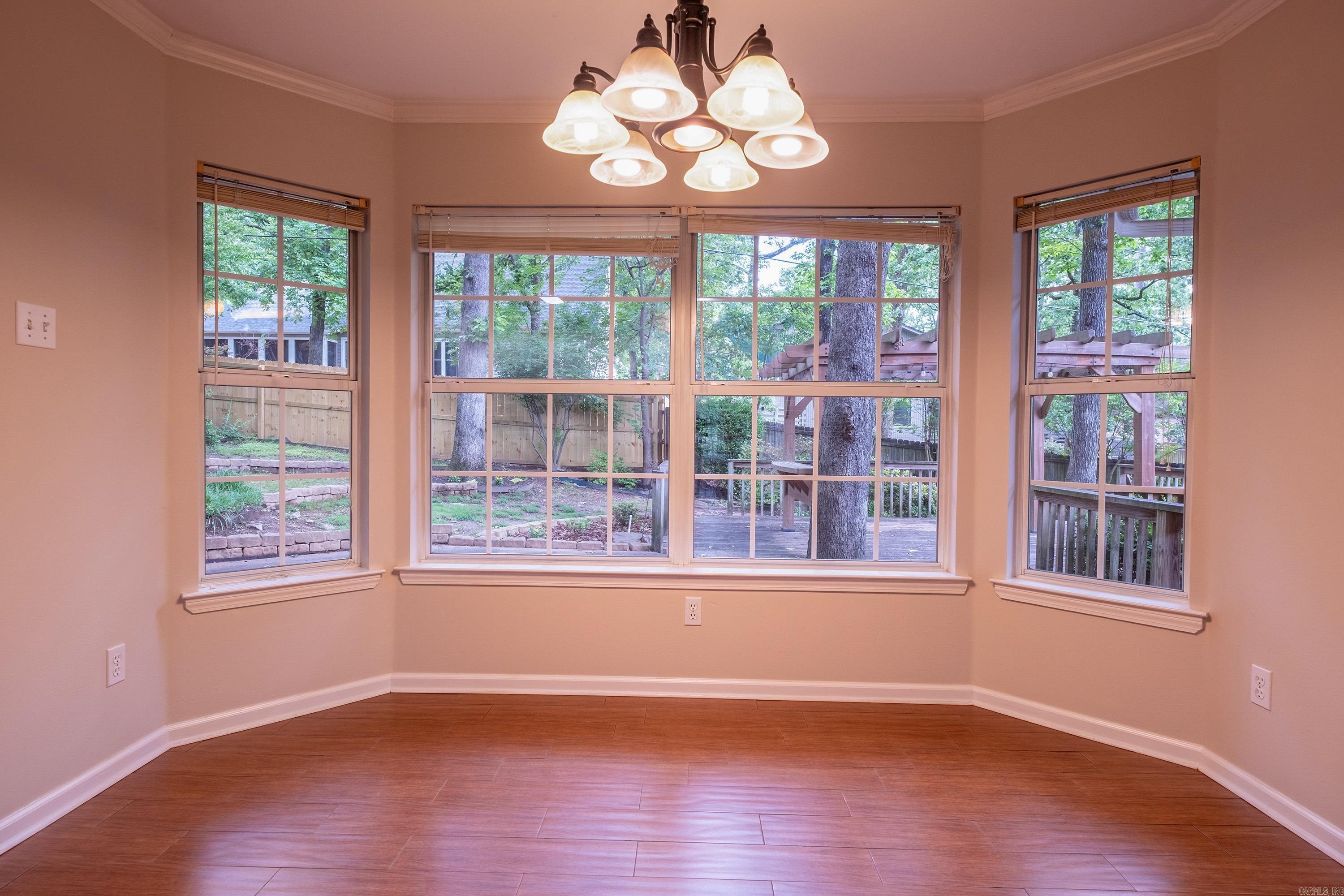 18  Honey Bear  Little Rock, AR
