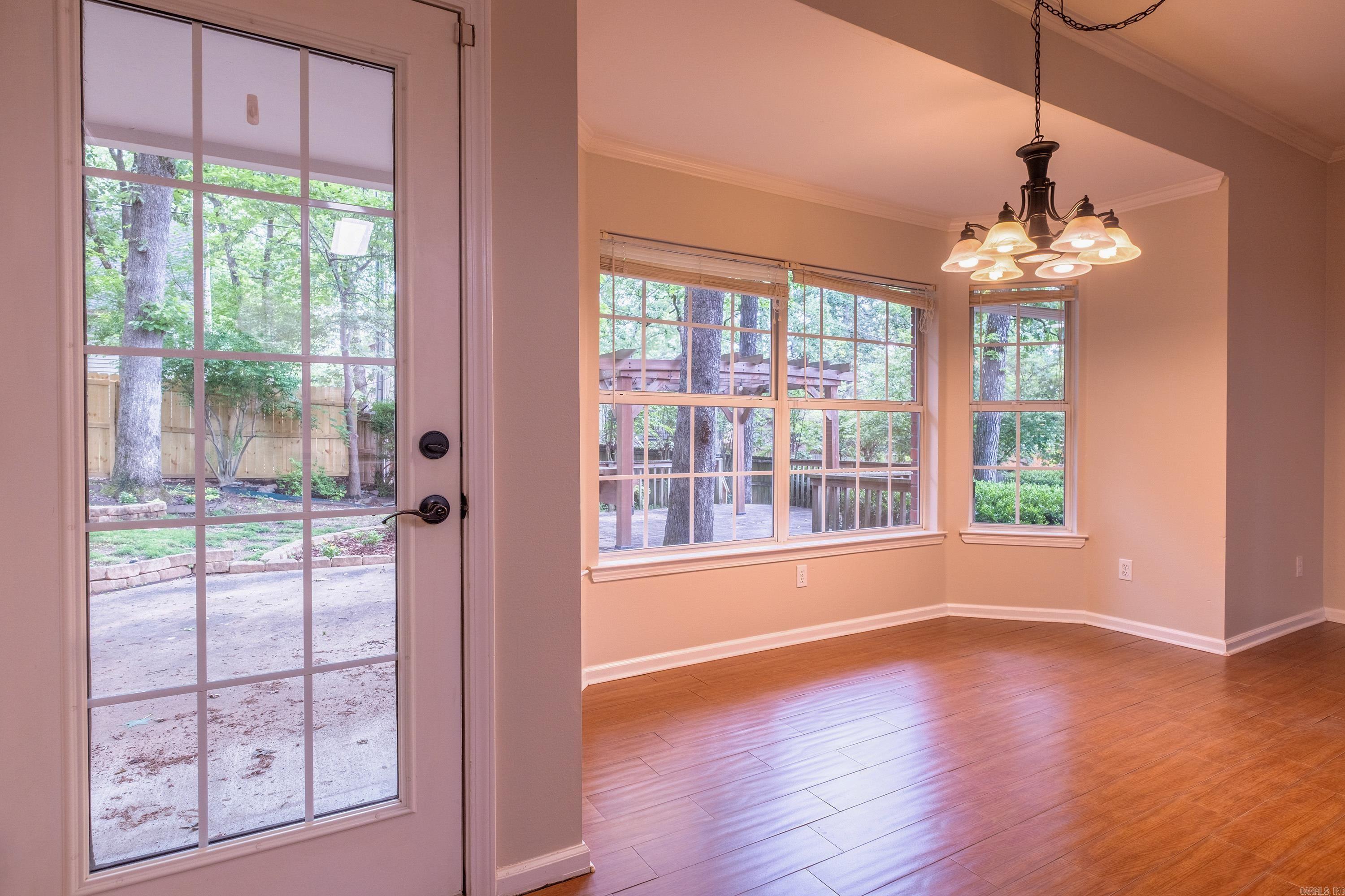 18  Honey Bear  Little Rock, AR