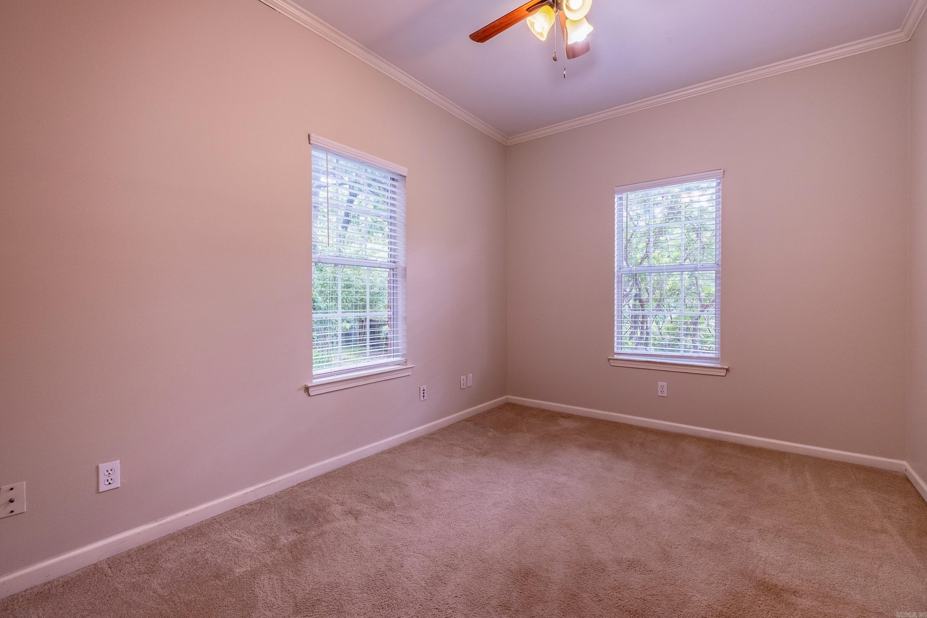 18  Honey Bear  Little Rock, AR