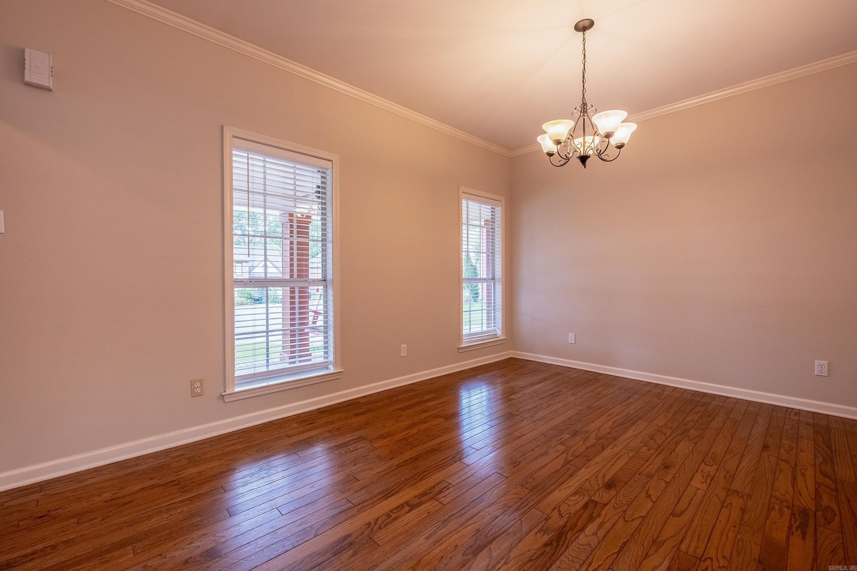 18  Honey Bear  Little Rock, AR