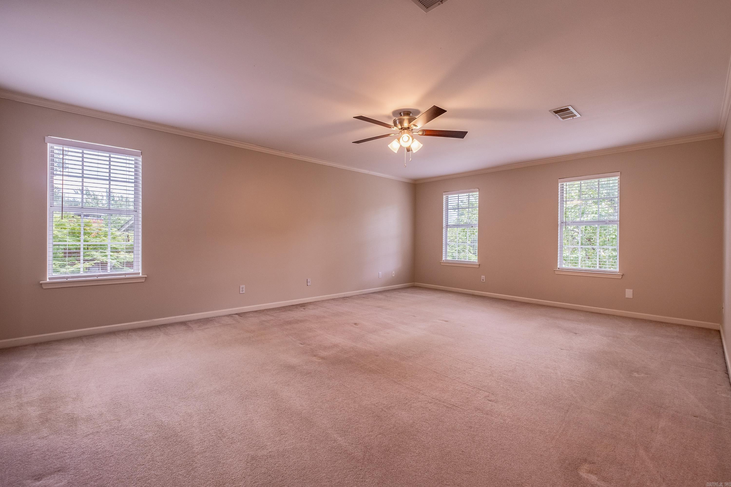 18  Honey Bear  Little Rock, AR