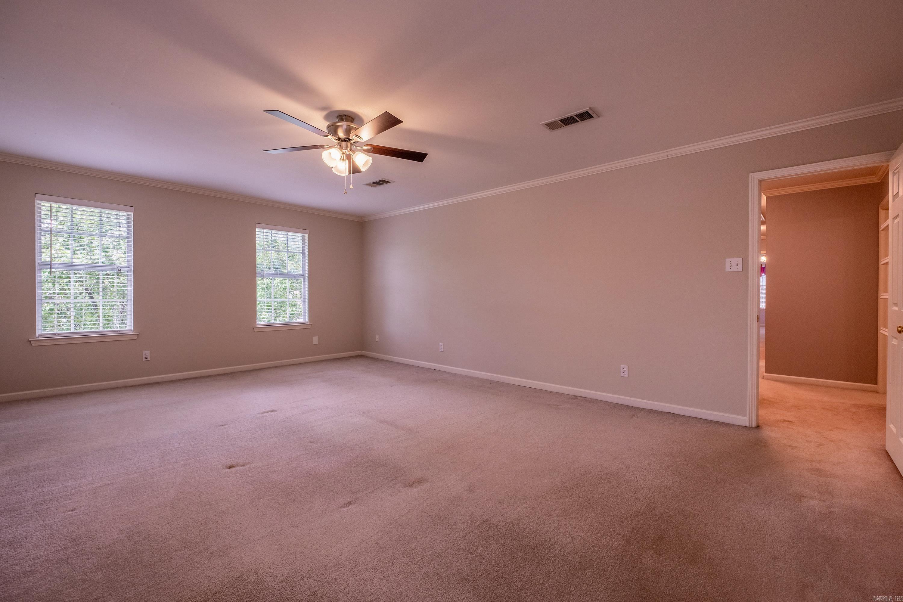 18  Honey Bear  Little Rock, AR