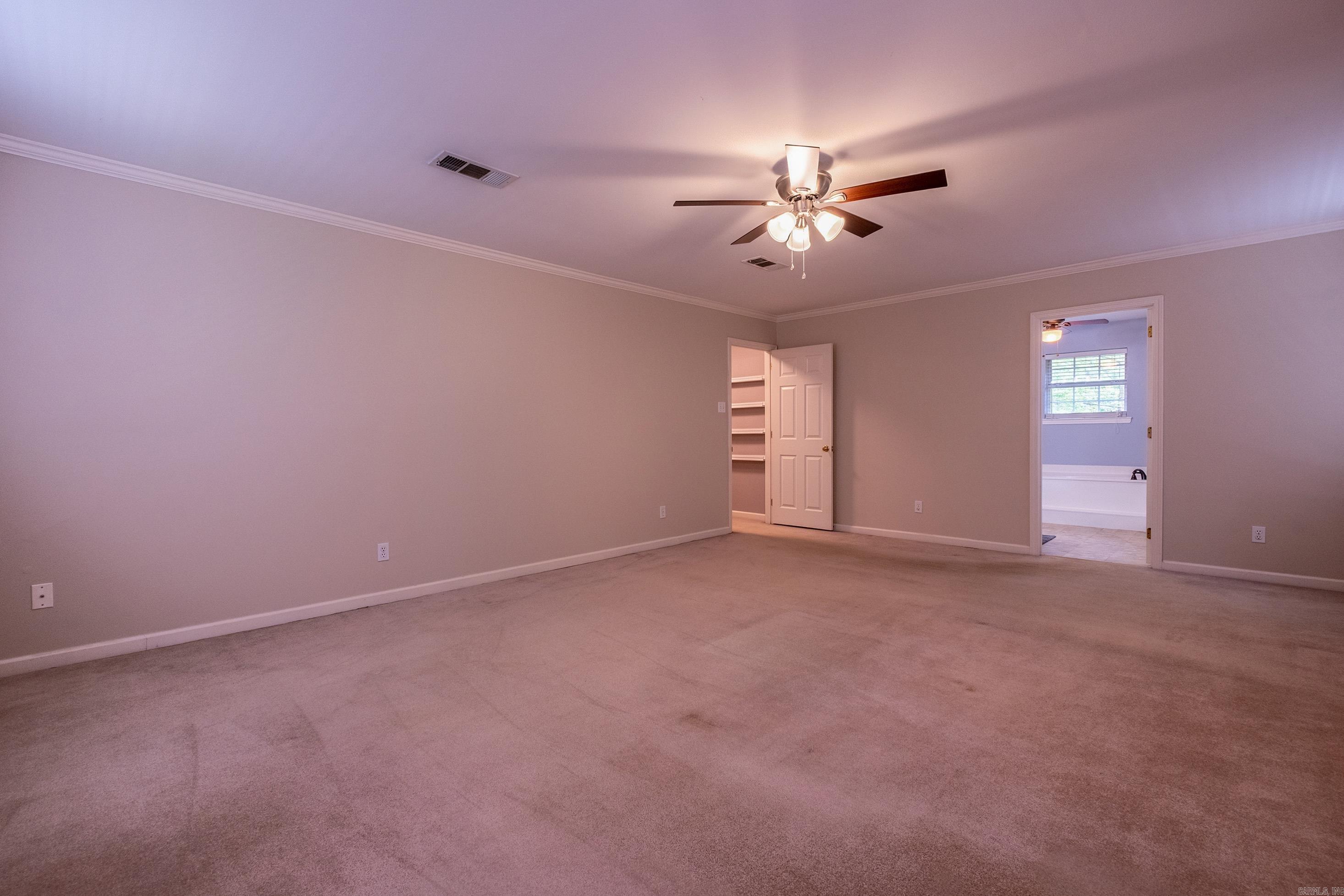 18  Honey Bear  Little Rock, AR