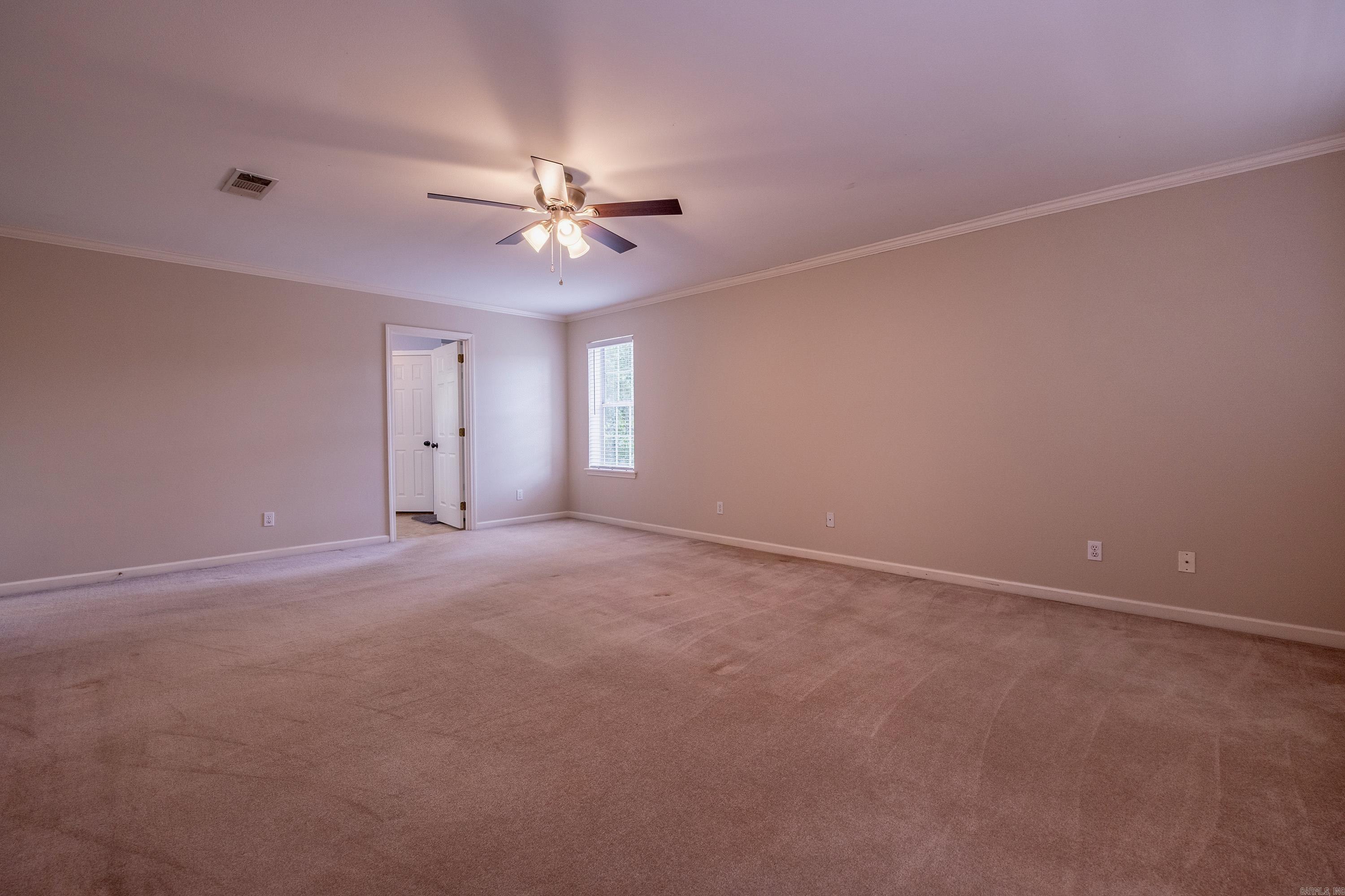 18  Honey Bear  Little Rock, AR