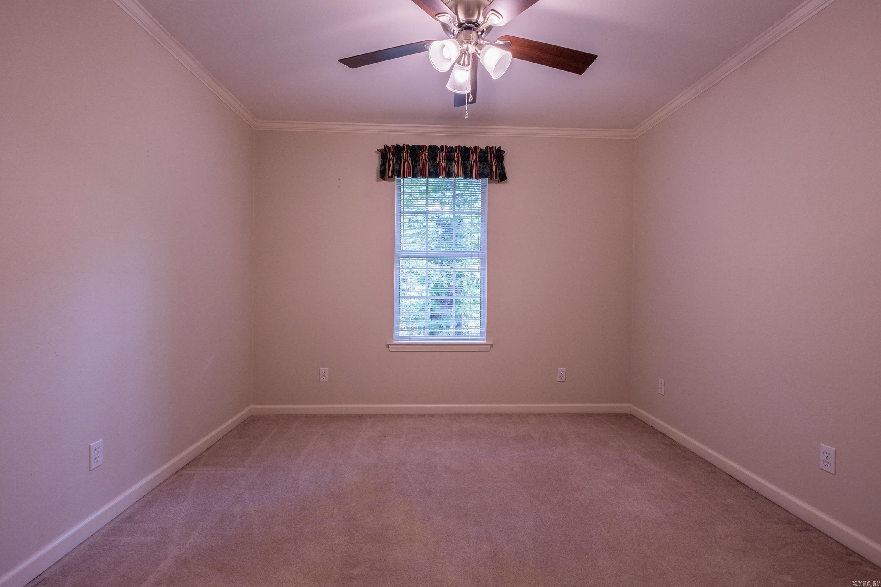 18  Honey Bear  Little Rock, AR
