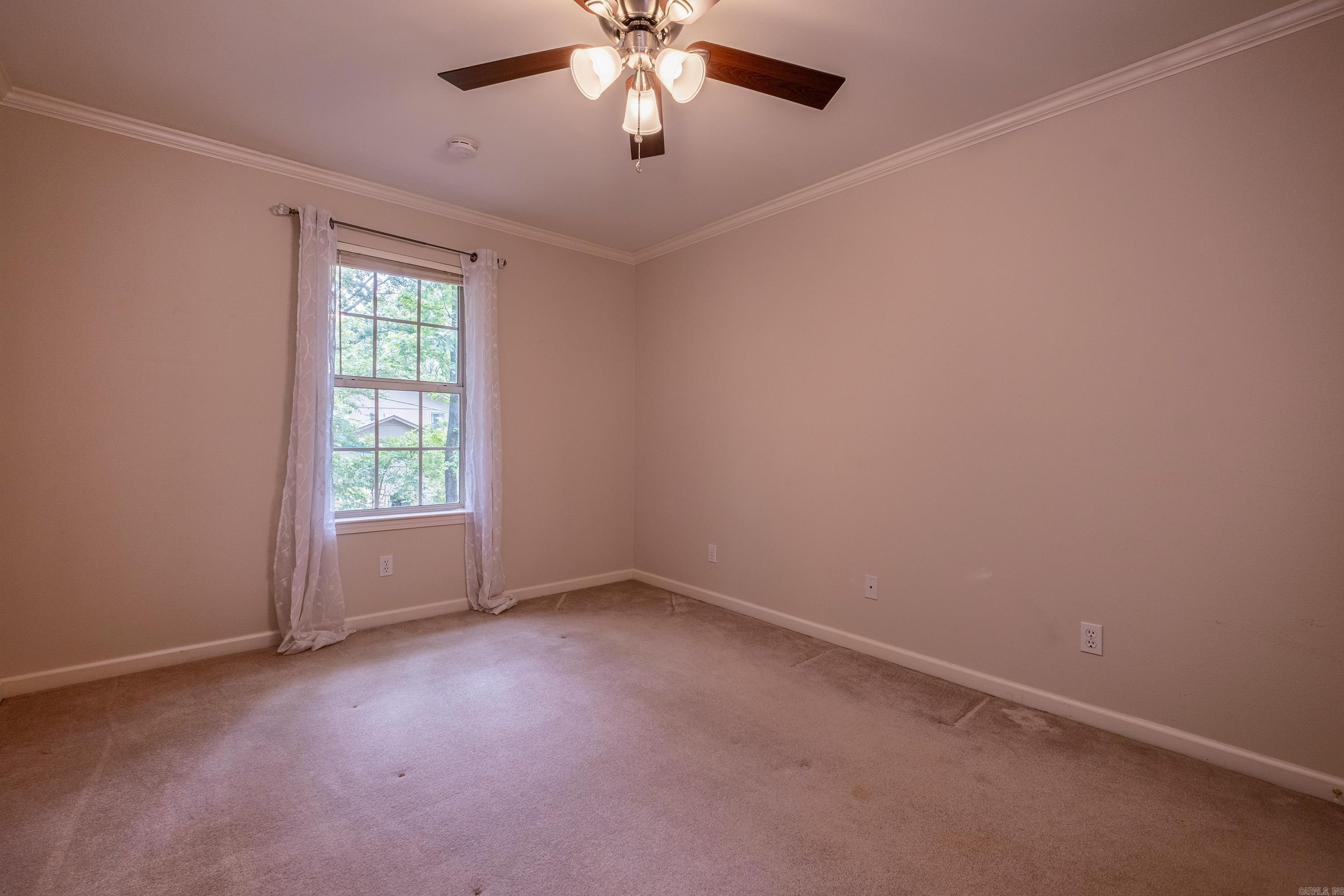 18  Honey Bear  Little Rock, AR