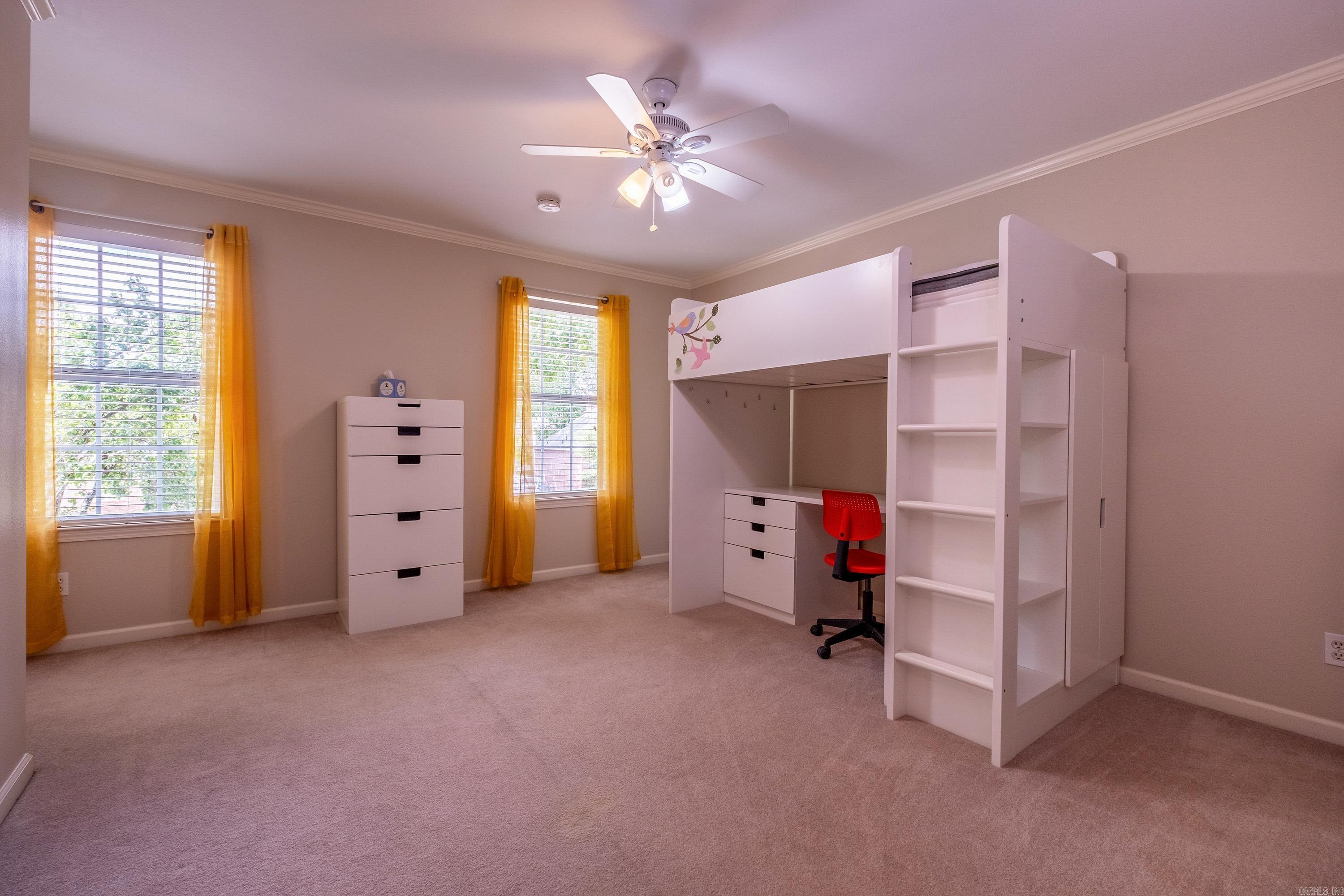 18  Honey Bear  Little Rock, AR