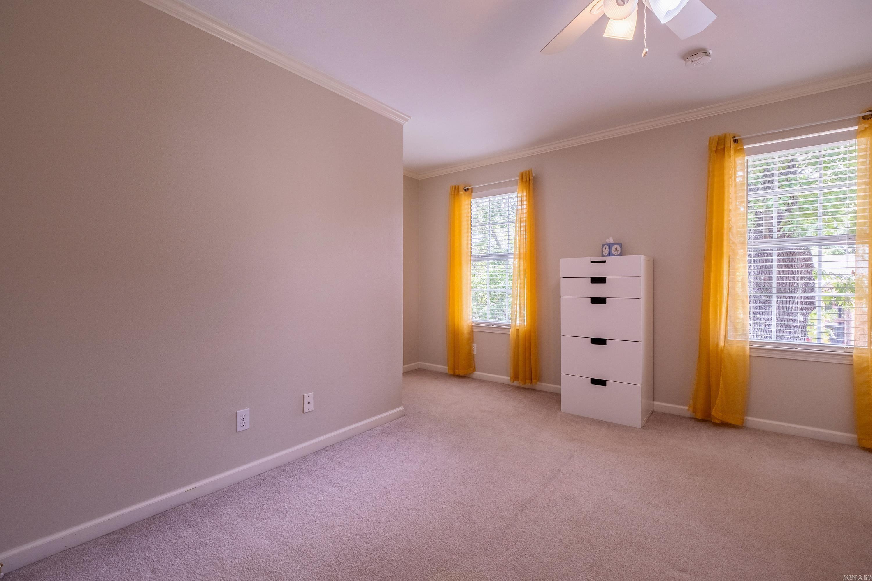 18  Honey Bear  Little Rock, AR