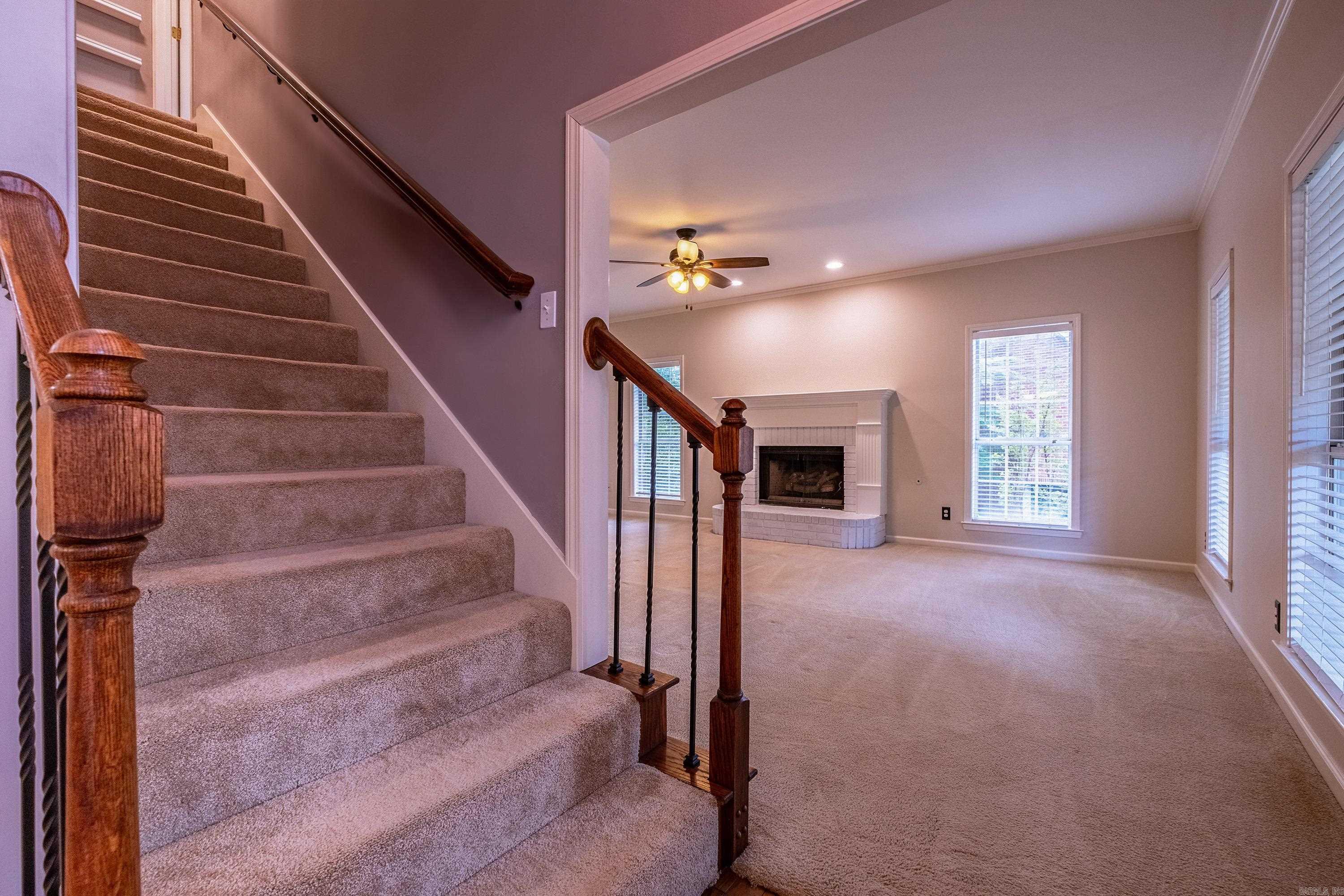 18  Honey Bear  Little Rock, AR