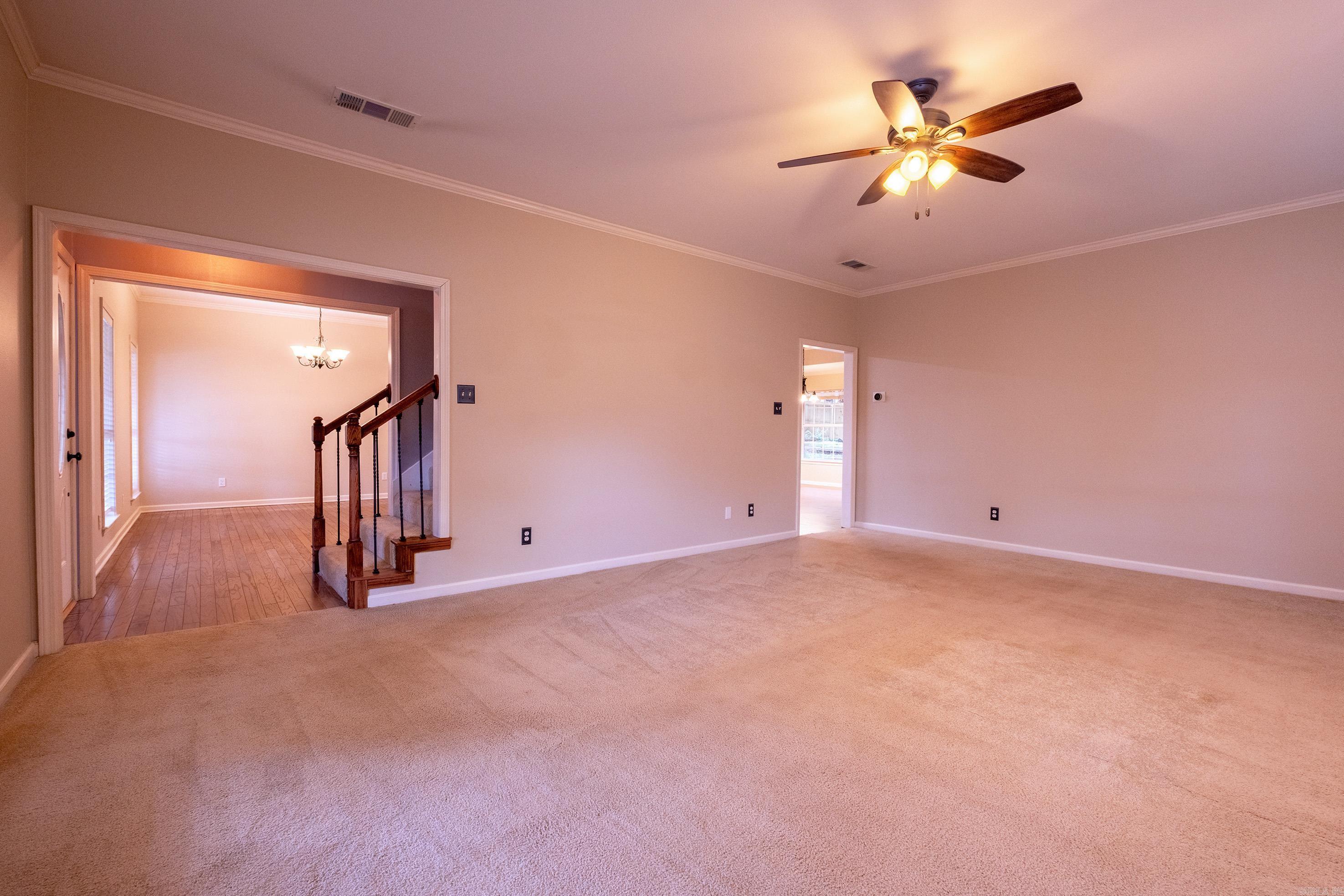18  Honey Bear  Little Rock, AR