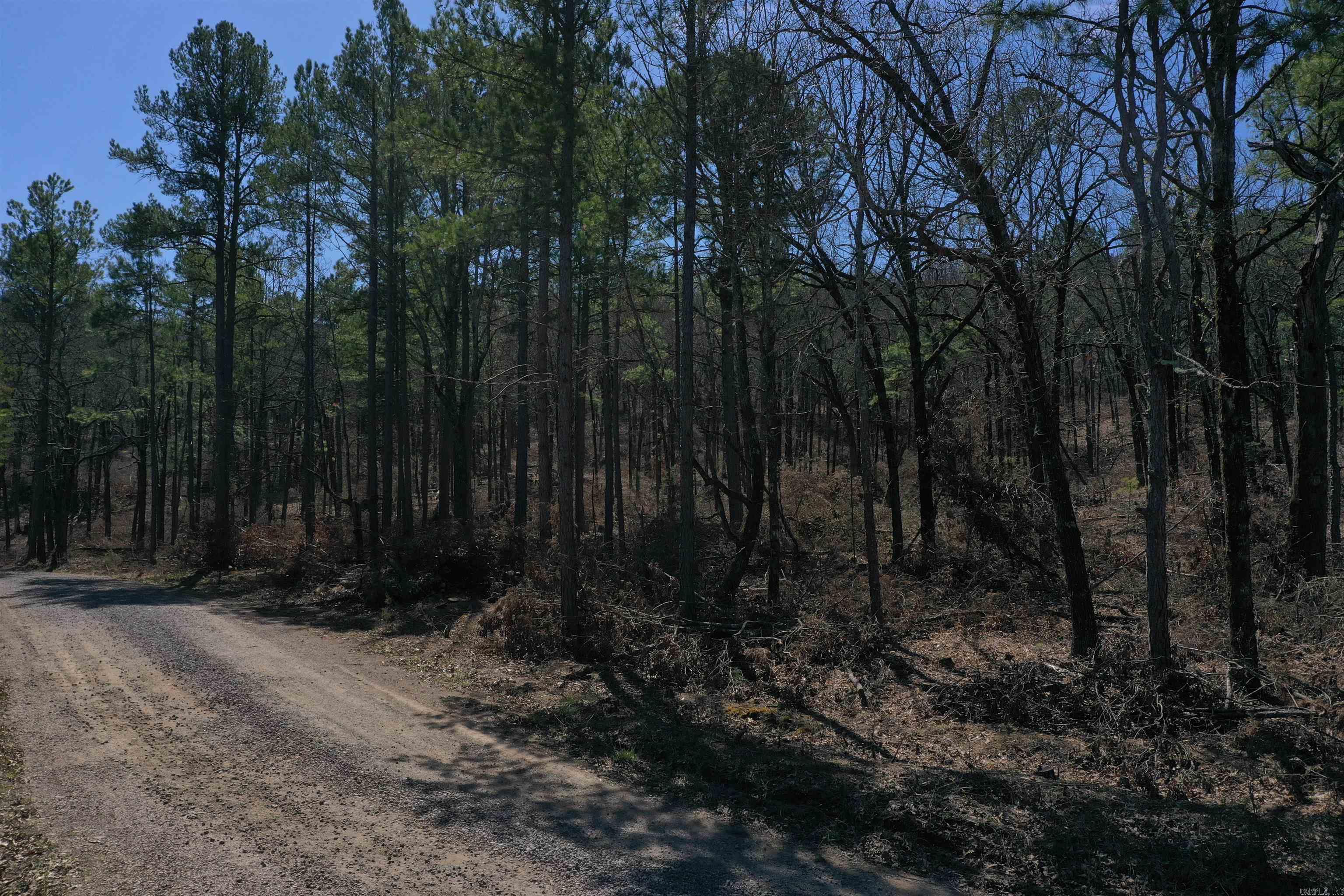 5910  Lee Lane  Cecil, AR