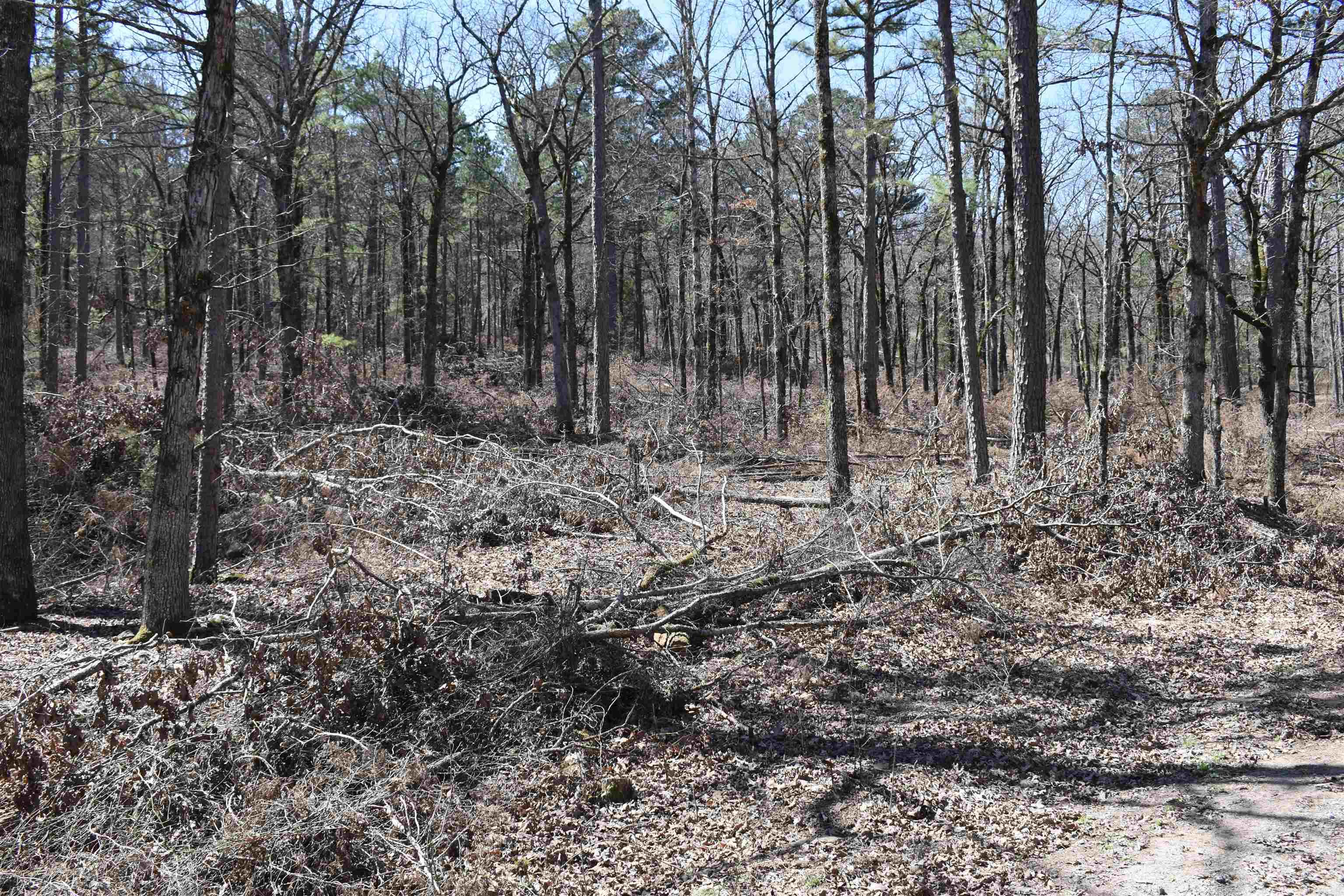5910  Lee Lane  Cecil, AR