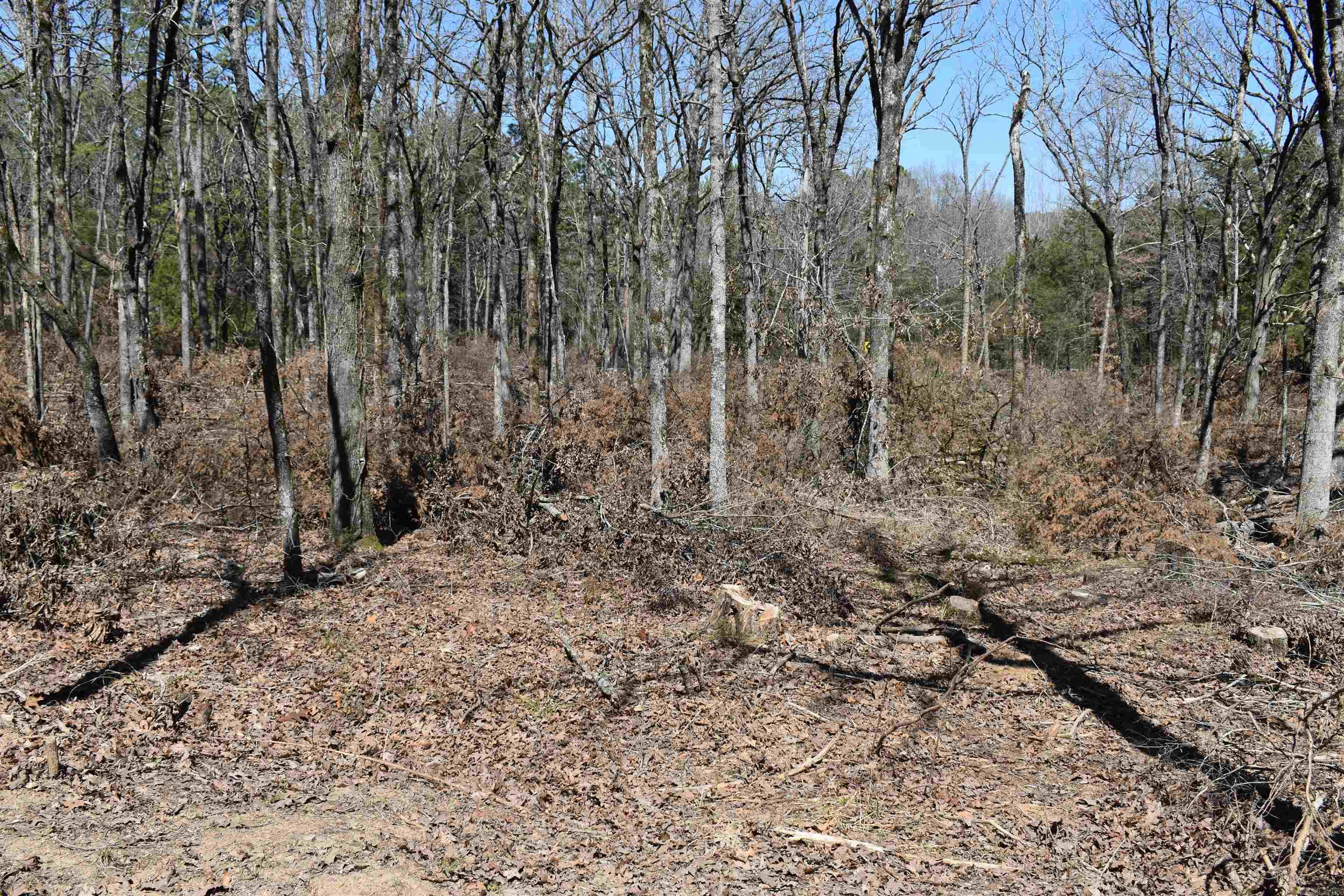 5910  Lee Lane  Cecil, AR