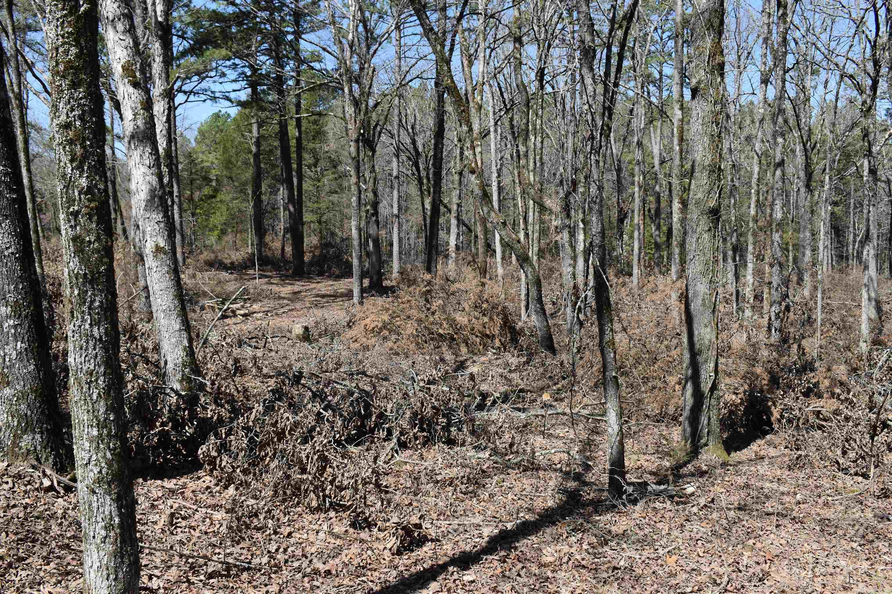 5910  Lee Lane  Cecil, AR