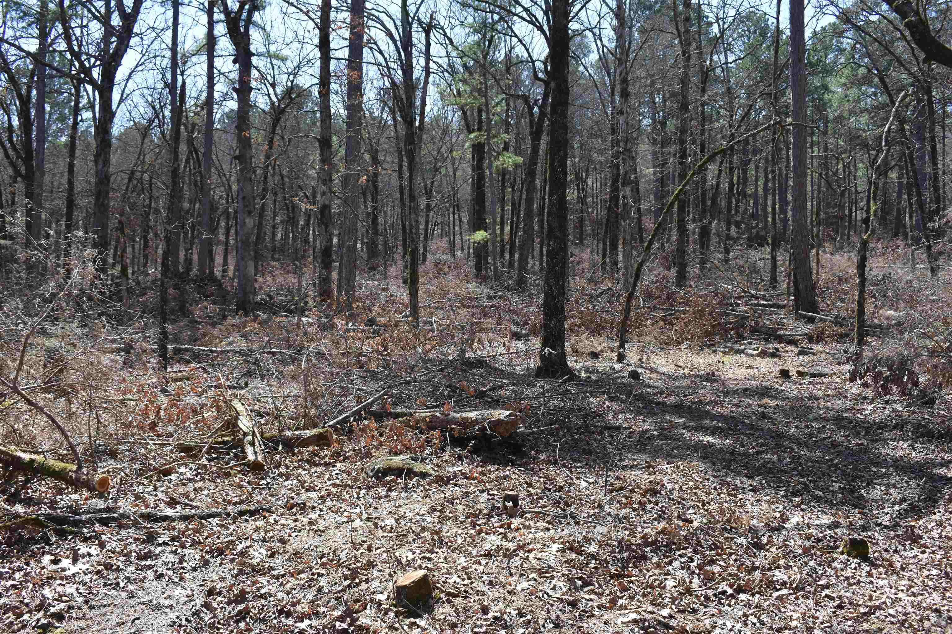 5910  Lee Lane  Cecil, AR