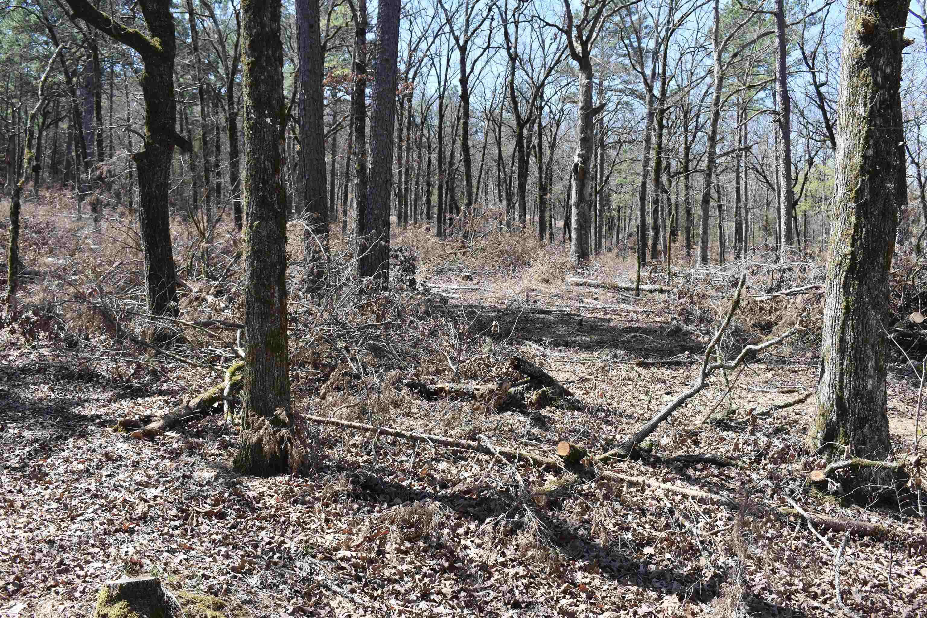 5910  Lee Lane  Cecil, AR