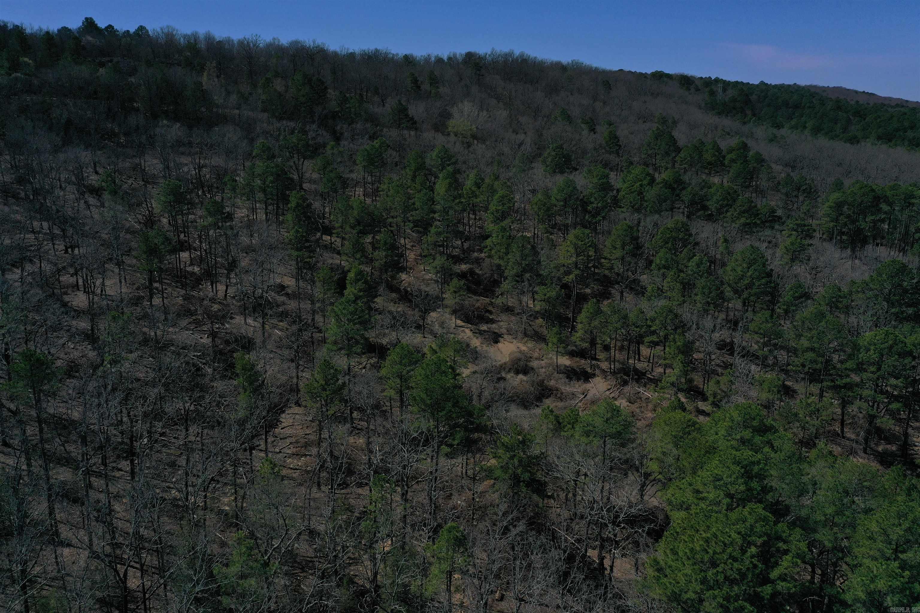 5910  Lee Lane  Cecil, AR