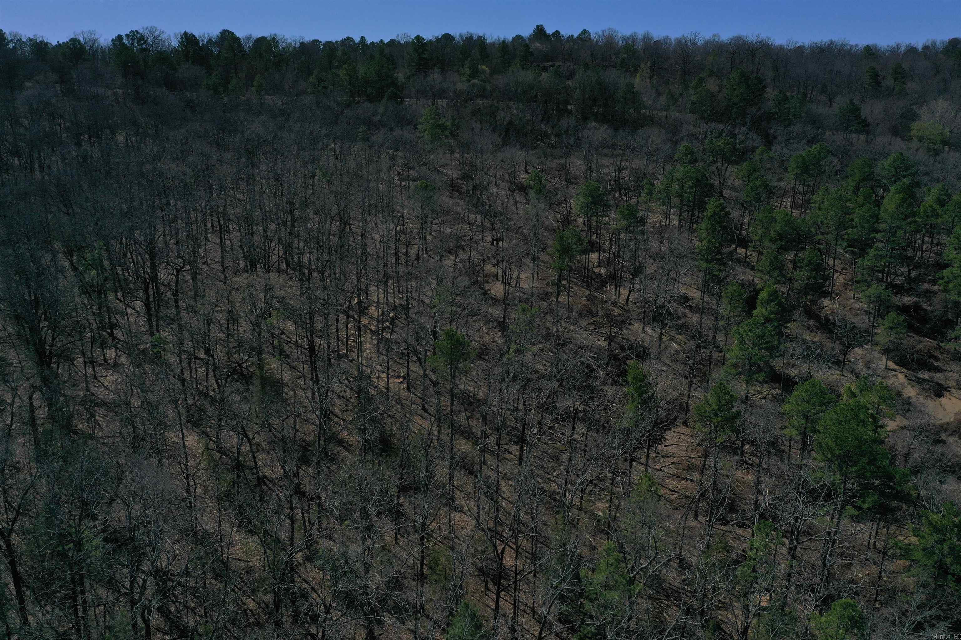 5910  Lee Lane  Cecil, AR