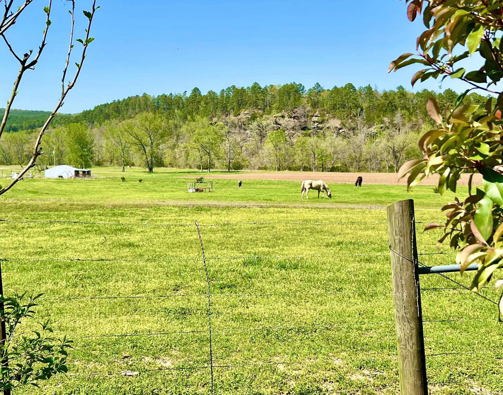 1112  Silver Rock Road  Shirley, AR