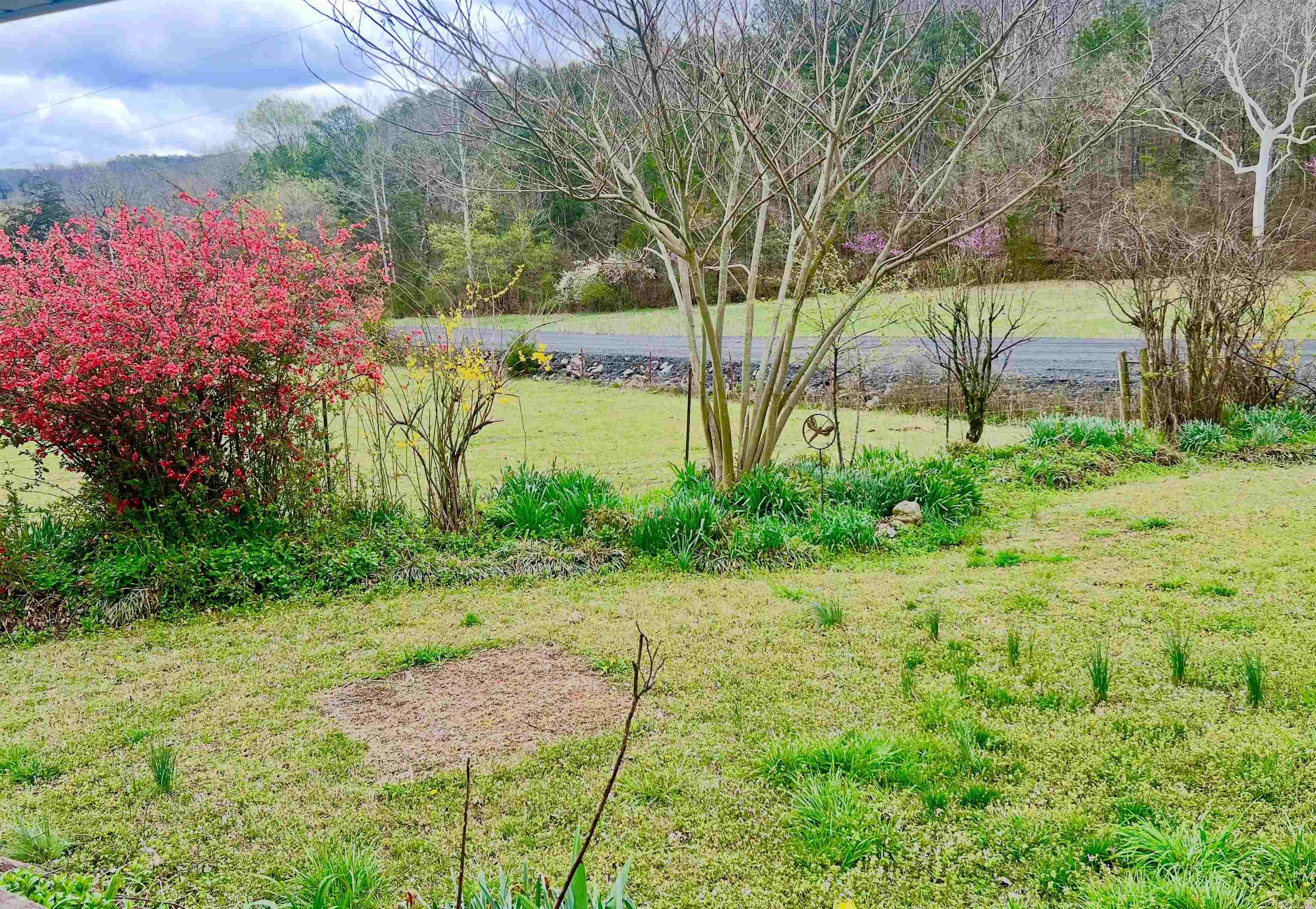 1112  Silver Rock Road  Shirley, AR