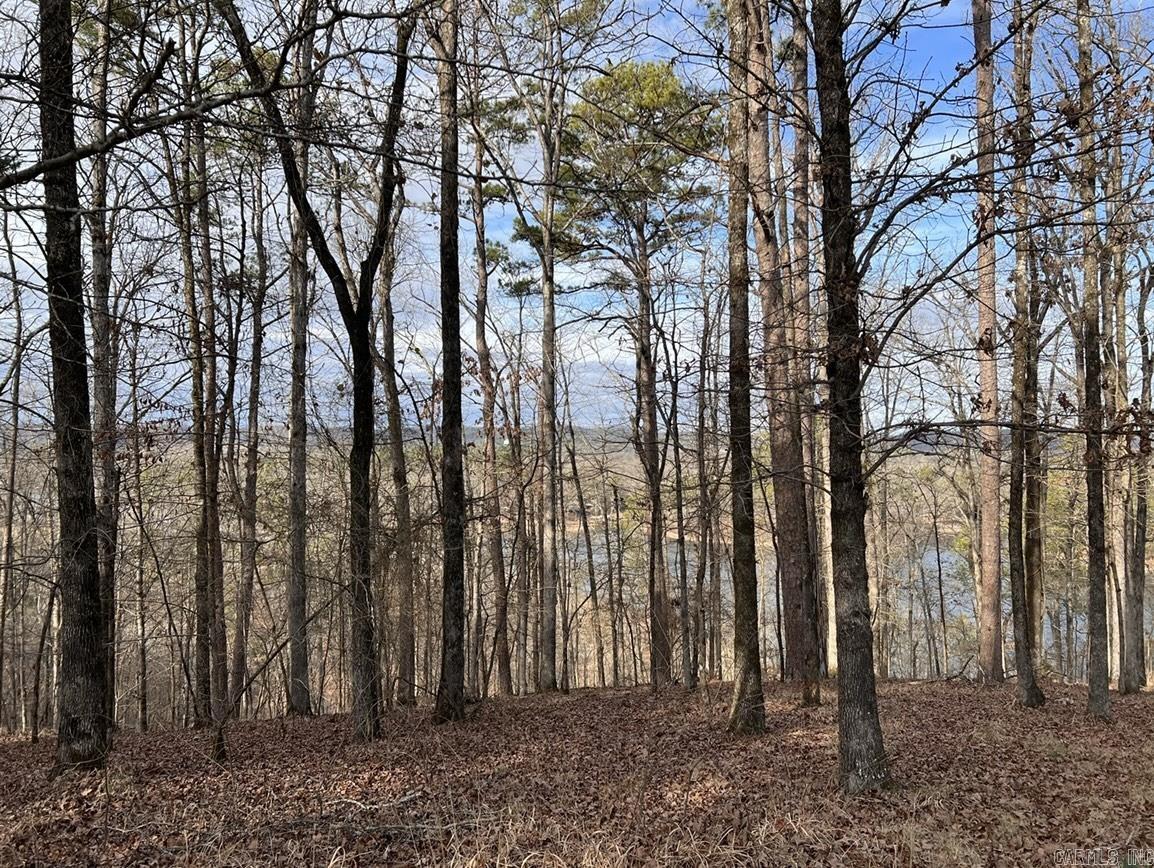 208  Avonshire  Hot Springs, AR