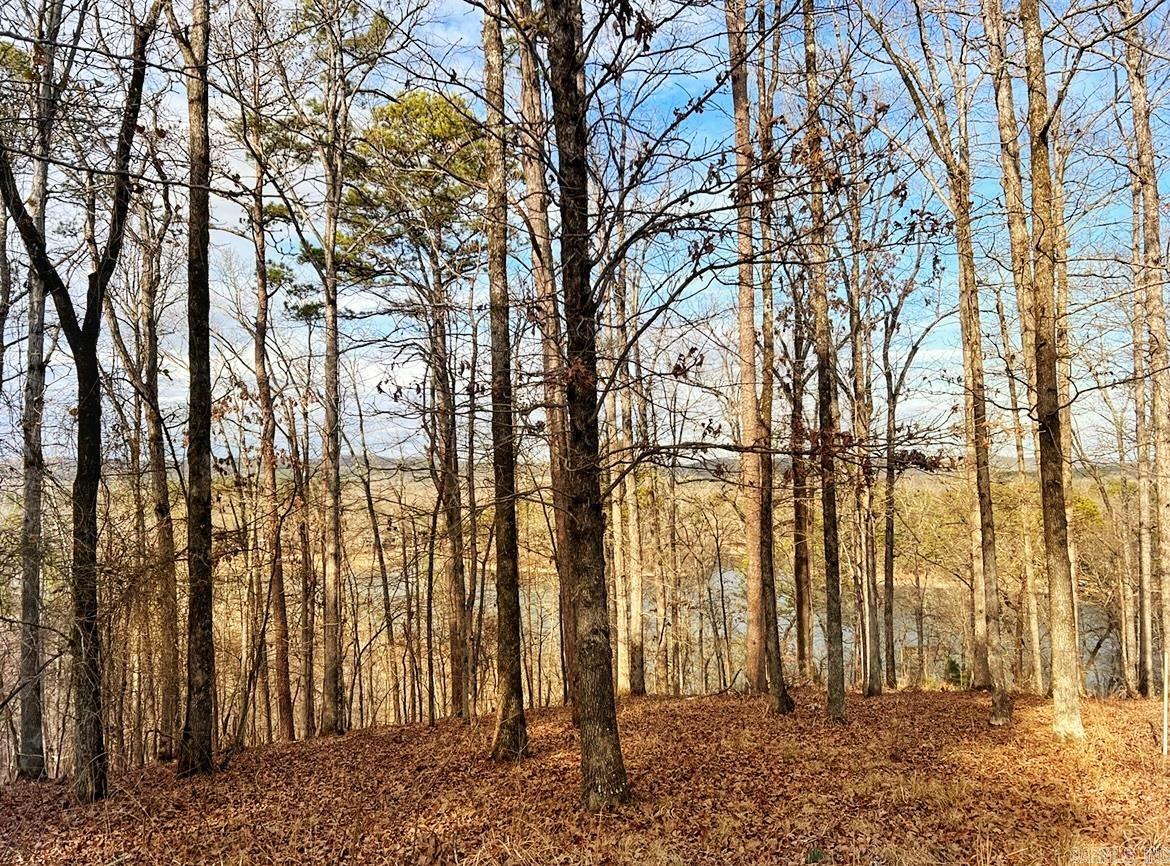 208  Avonshire  Hot Springs, AR