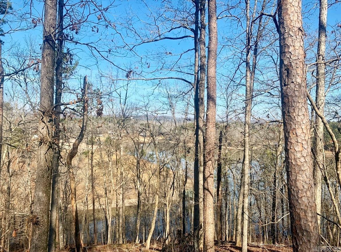 208  Avonshire  Hot Springs, AR