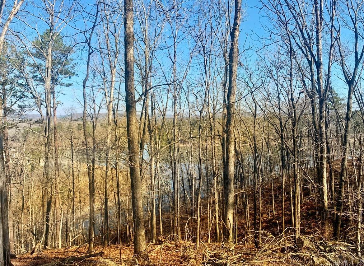208  Avonshire  Hot Springs, AR