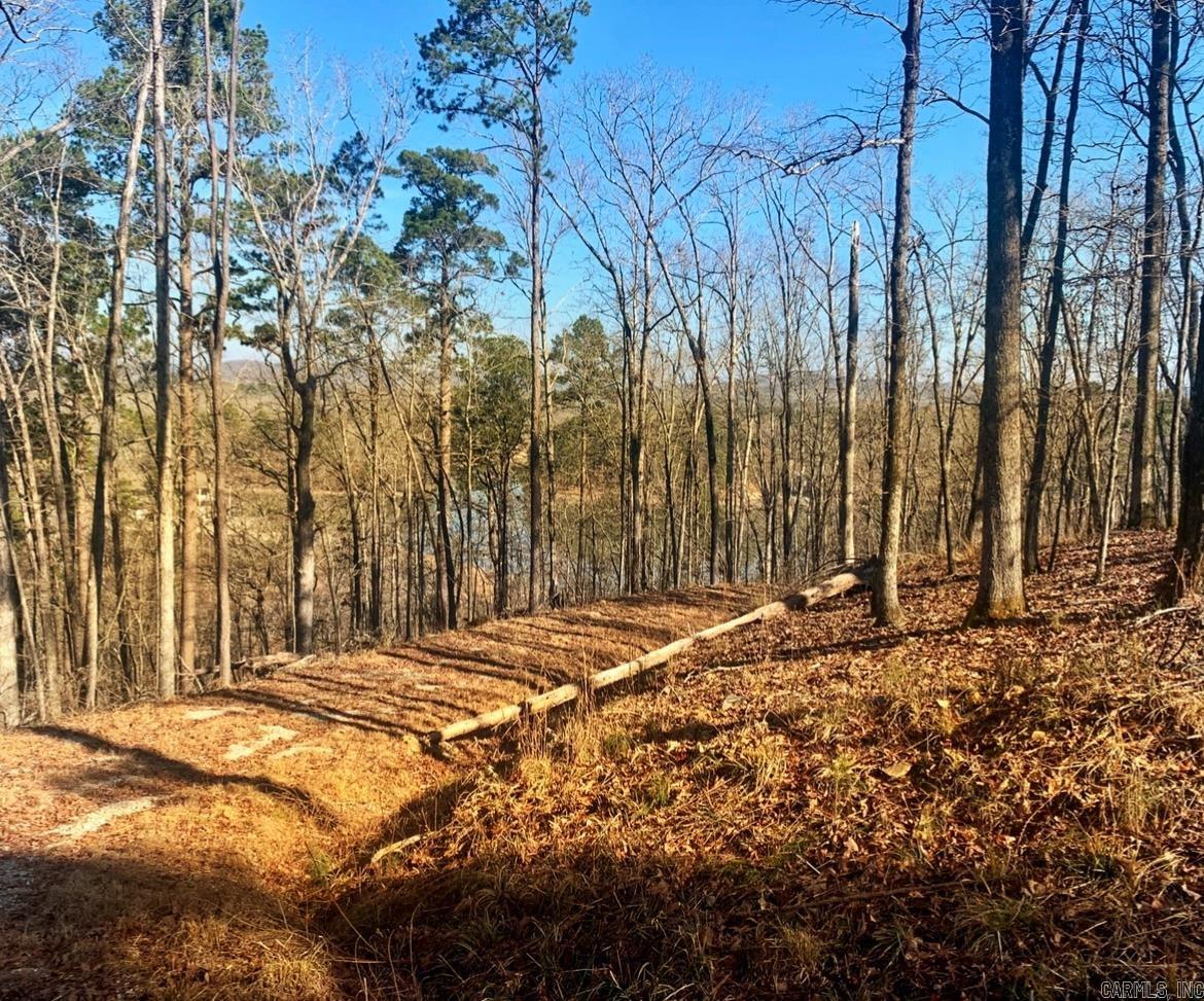 208  Avonshire  Hot Springs, AR