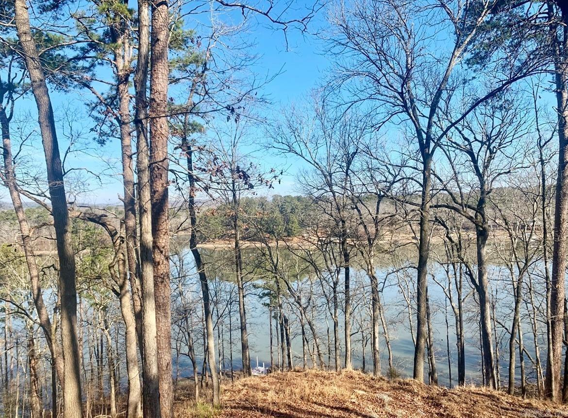 208  Avonshire  Hot Springs, AR