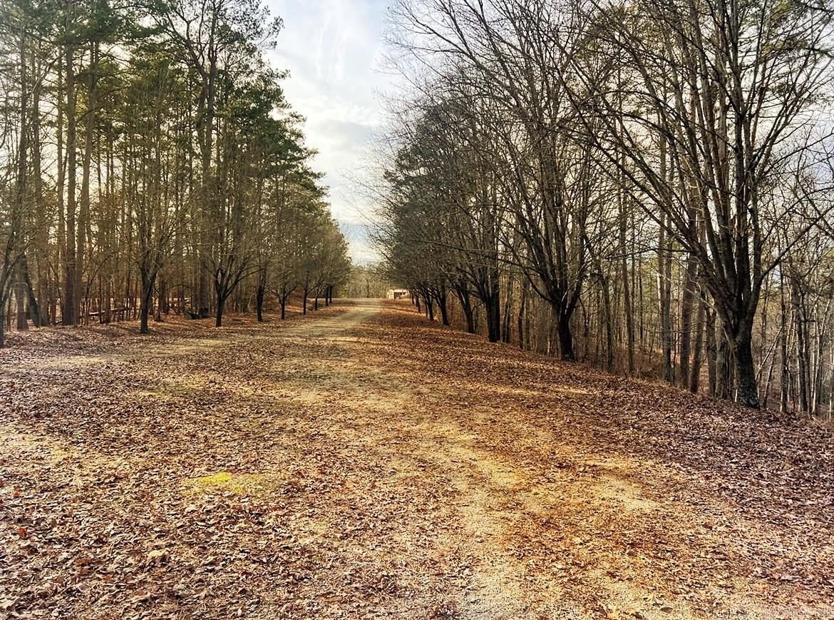 208  Avonshire  Hot Springs, AR