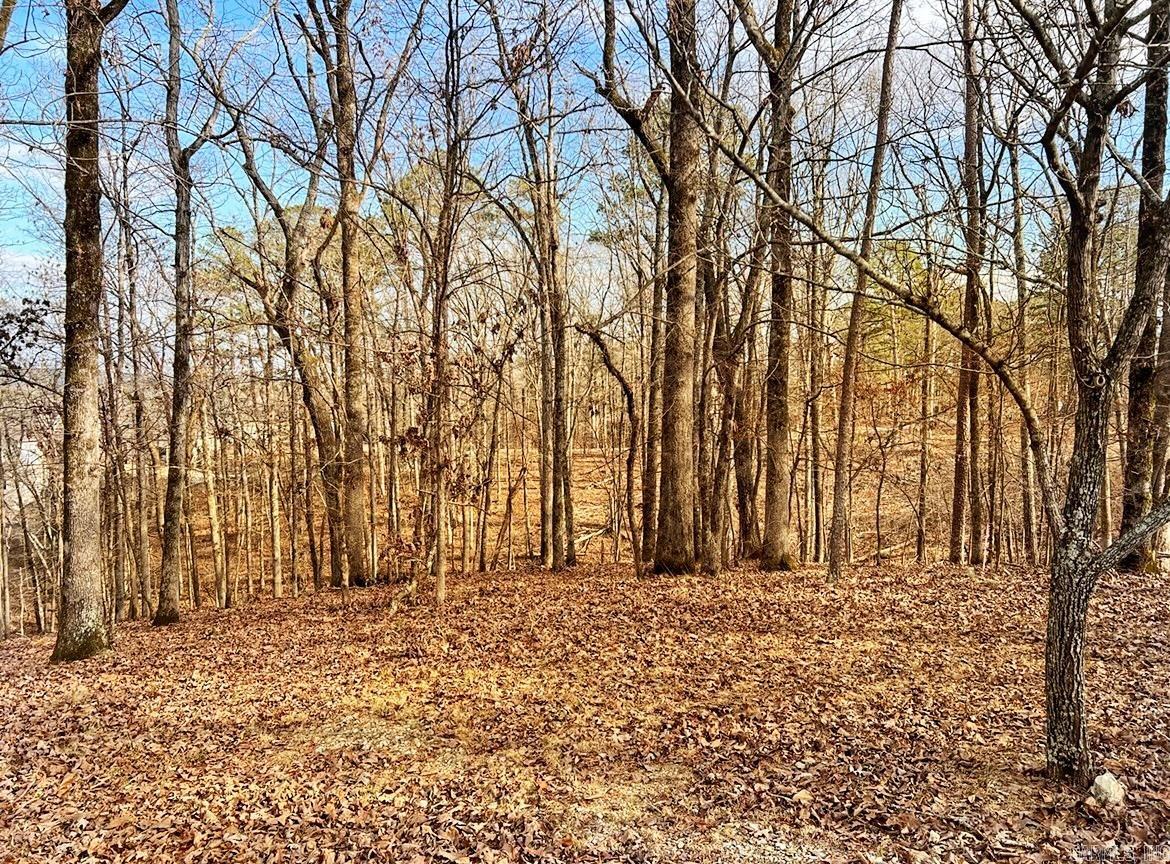 208  Avonshire  Hot Springs, AR
