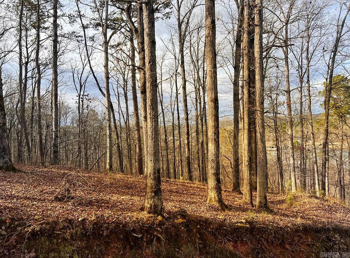 208  Avonshire  Hot Springs, AR
